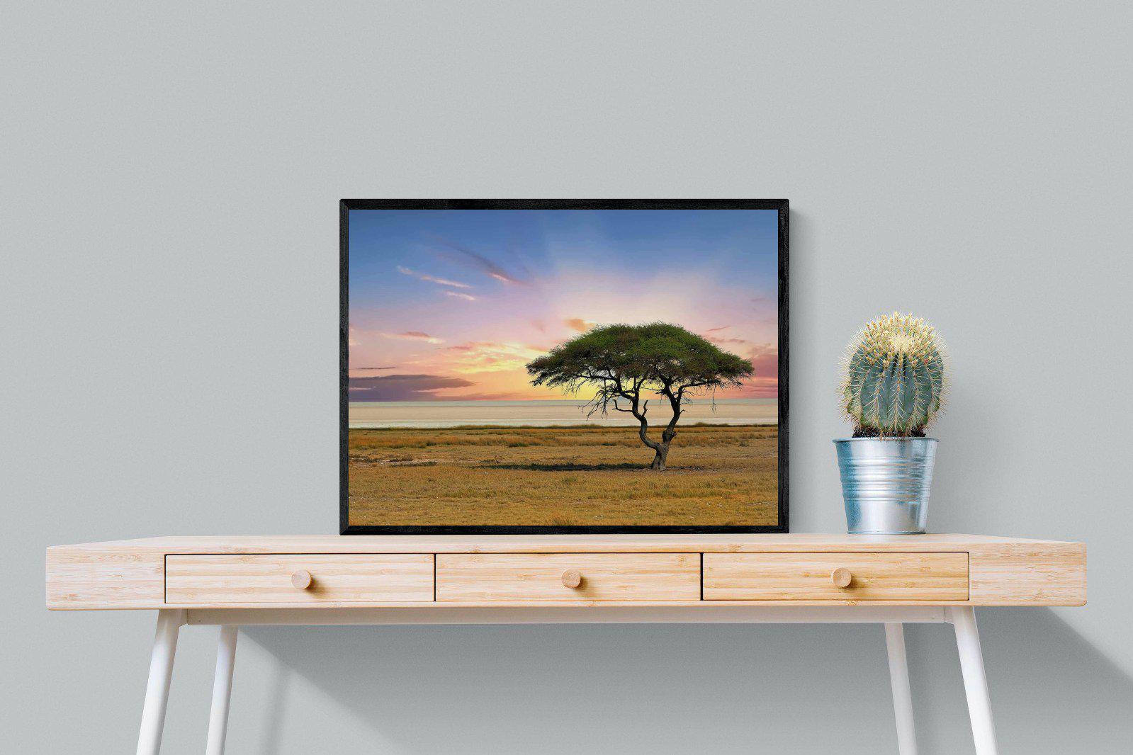 Acacia Tree-Wall_Art-80 x 60cm-Mounted Canvas-Black-Pixalot