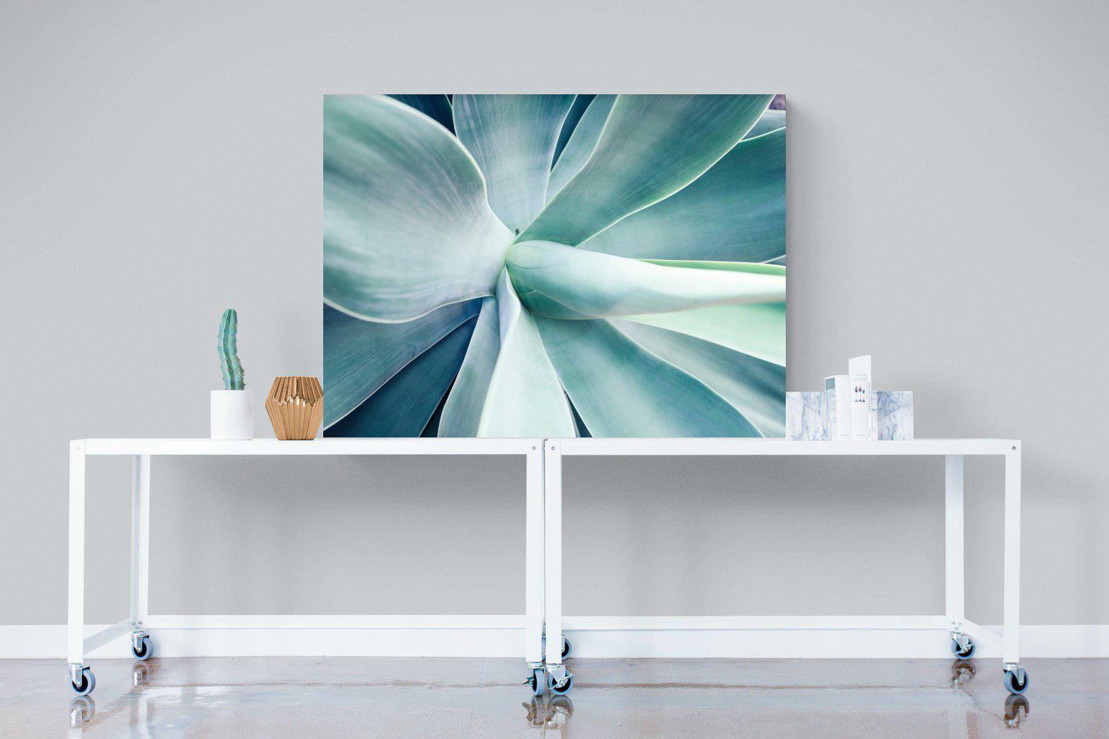 Agave-Wall_Art-120 x 90cm-Mounted Canvas-No Frame-Pixalot