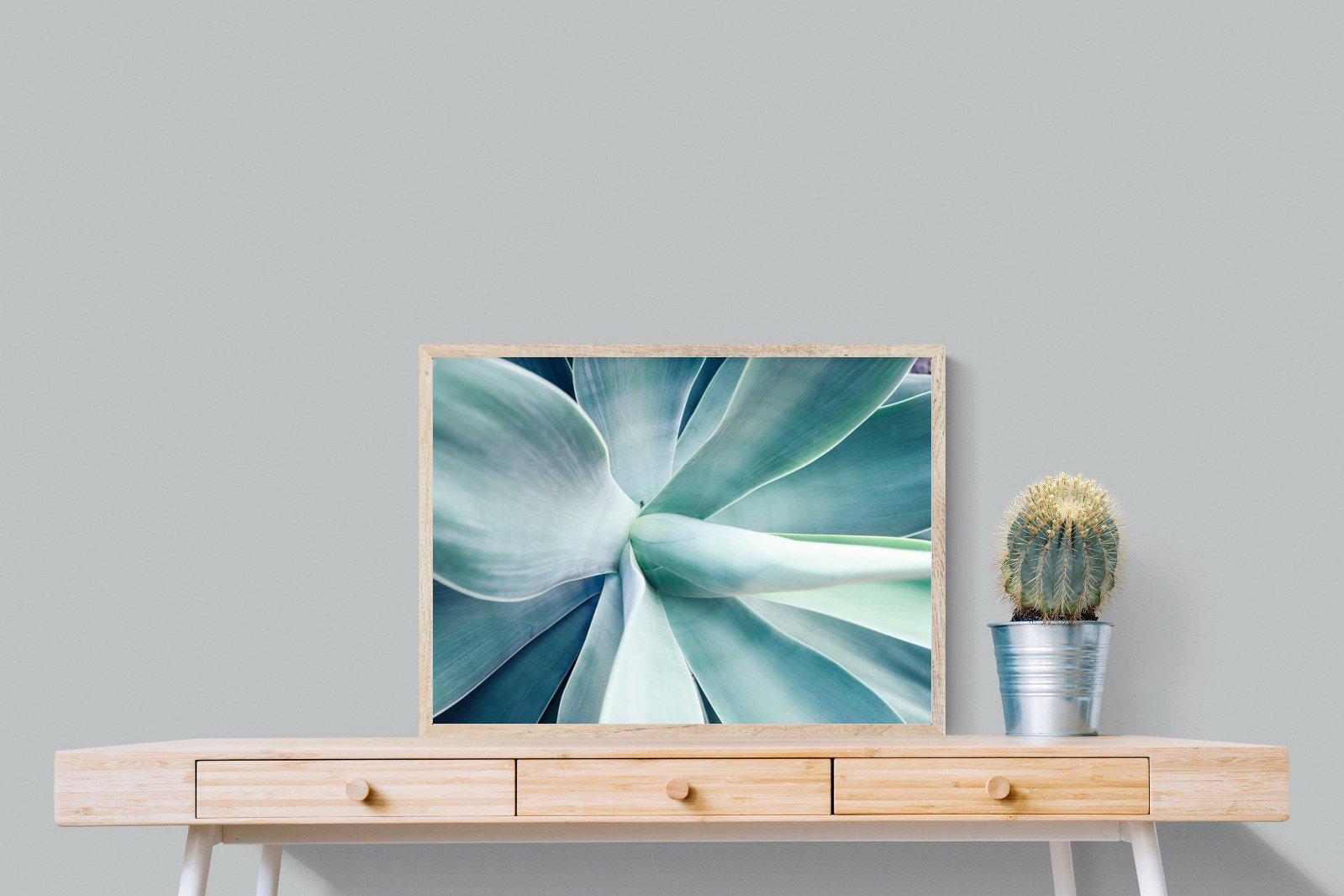 Agave-Wall_Art-80 x 60cm-Mounted Canvas-Wood-Pixalot