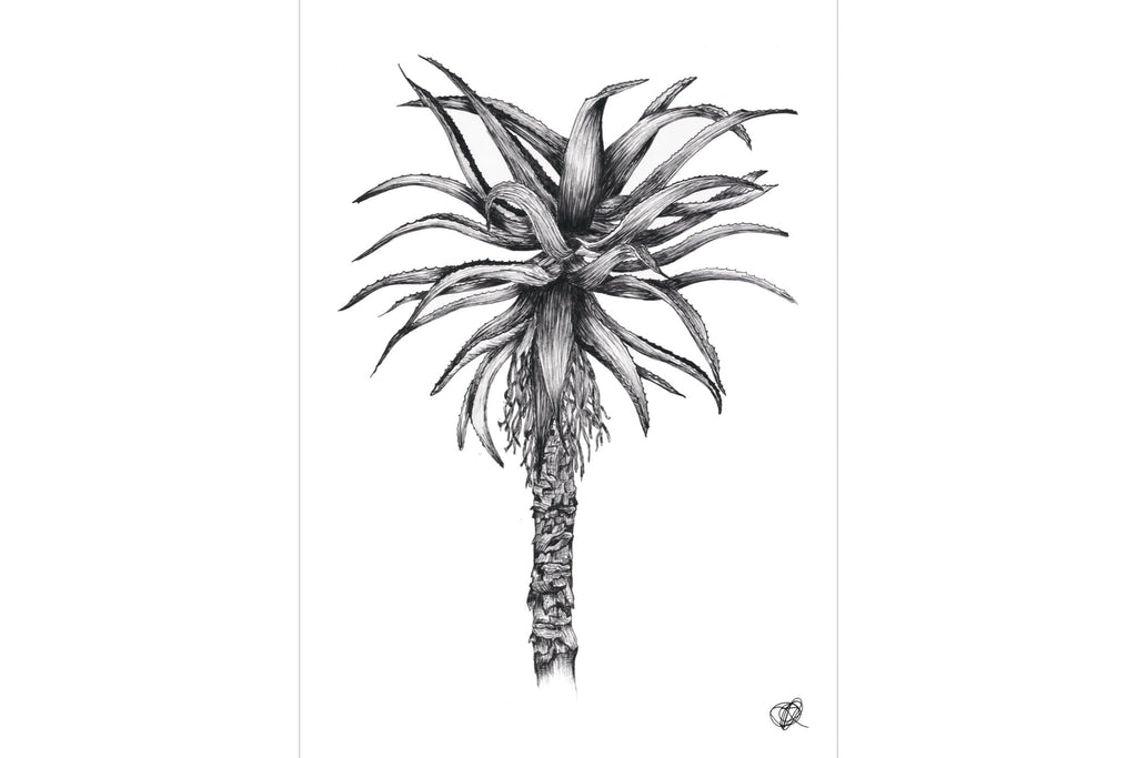 Aloe Illustration-Wall_Art-Pixalot