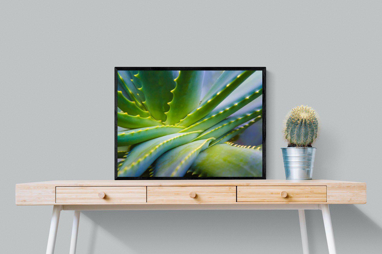 Aloe Vera-Wall_Art-80 x 60cm-Mounted Canvas-Black-Pixalot