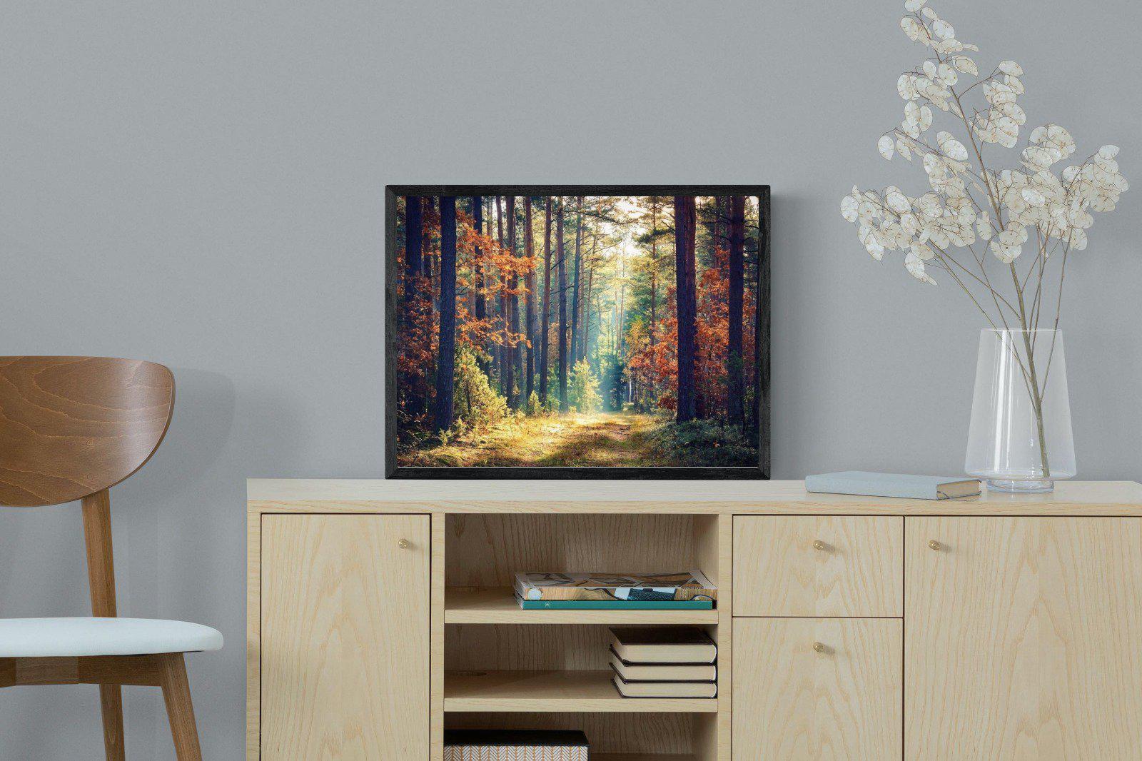 Autumn Forest-Wall_Art-60 x 45cm-Mounted Canvas-Black-Pixalot