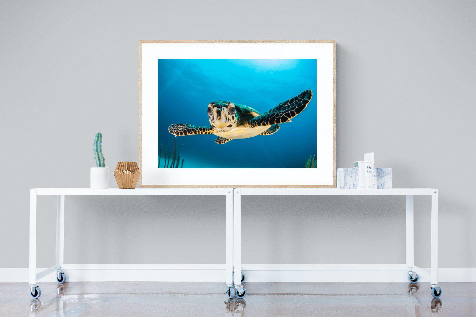 Baby Turtle-Wall_Art-120 x 90cm-Framed Print-Wood-Pixalot