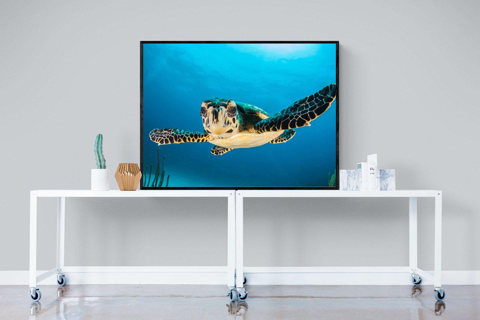 Baby Turtle-Wall_Art-120 x 90cm-Mounted Canvas-Black-Pixalot