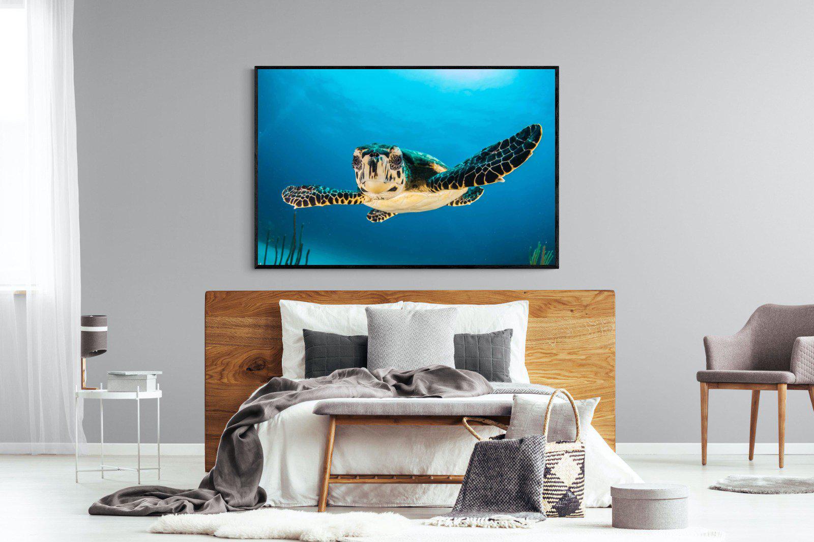 Baby Turtle-Wall_Art-150 x 100cm-Mounted Canvas-Black-Pixalot