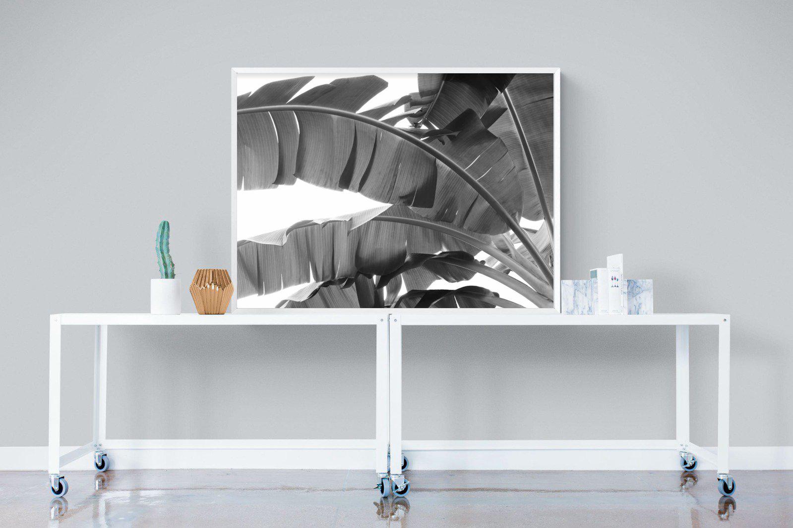 Banana Frond-Wall_Art-120 x 90cm-Mounted Canvas-White-Pixalot