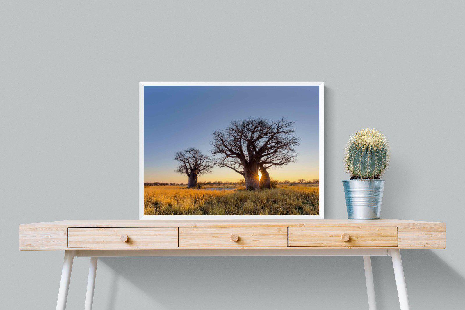 Baobab-Wall_Art-80 x 60cm-Mounted Canvas-White-Pixalot