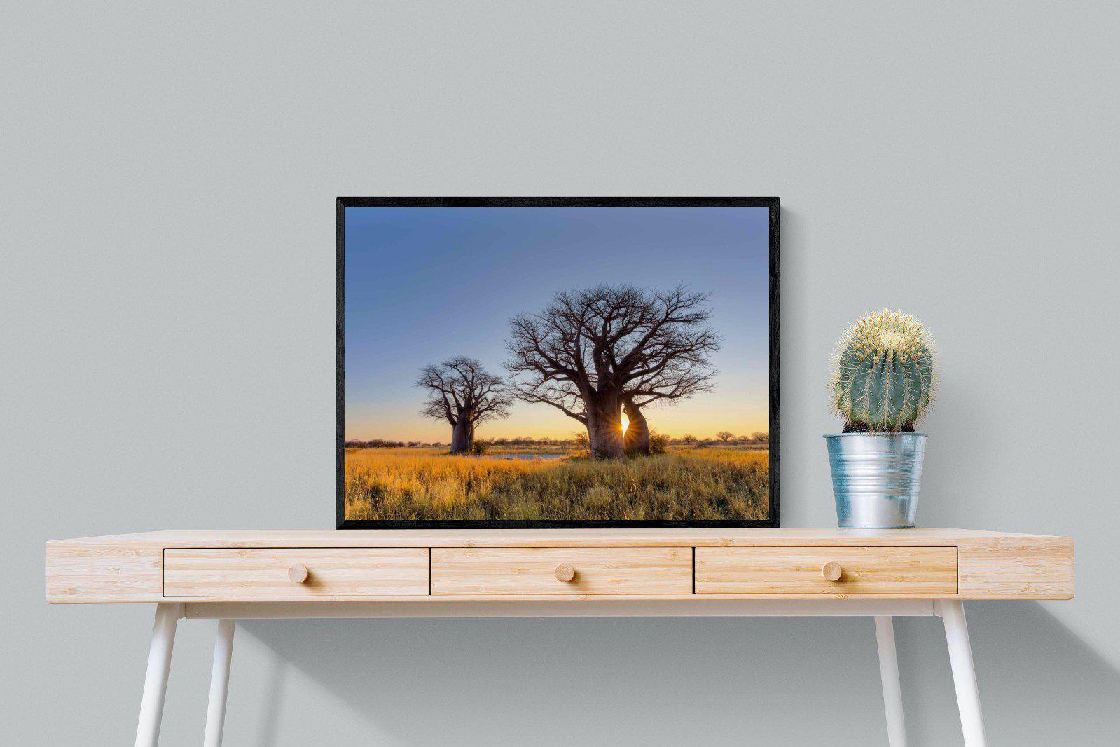 Baobab-Wall_Art-80 x 60cm-Mounted Canvas-Black-Pixalot