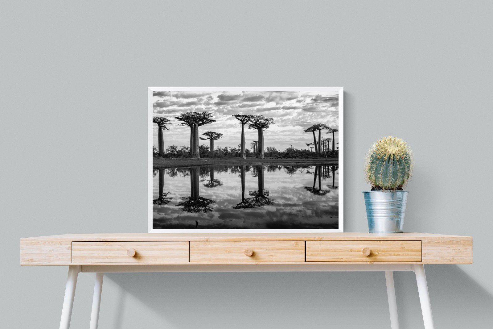 Baobab Trees-Wall_Art-80 x 60cm-Mounted Canvas-White-Pixalot