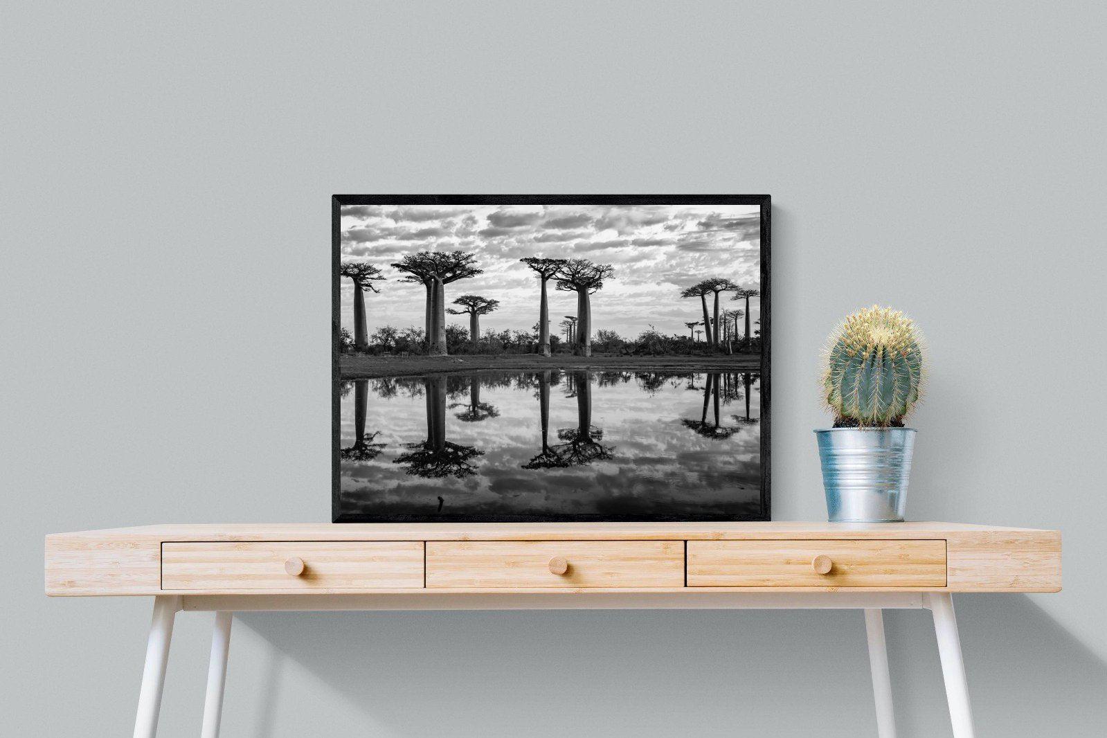 Baobab Trees-Wall_Art-80 x 60cm-Mounted Canvas-Black-Pixalot