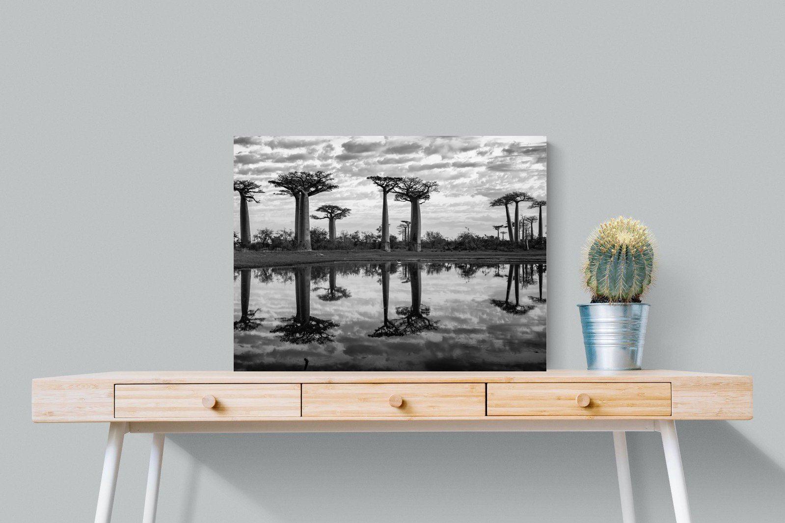 Baobab Trees-Wall_Art-80 x 60cm-Mounted Canvas-No Frame-Pixalot