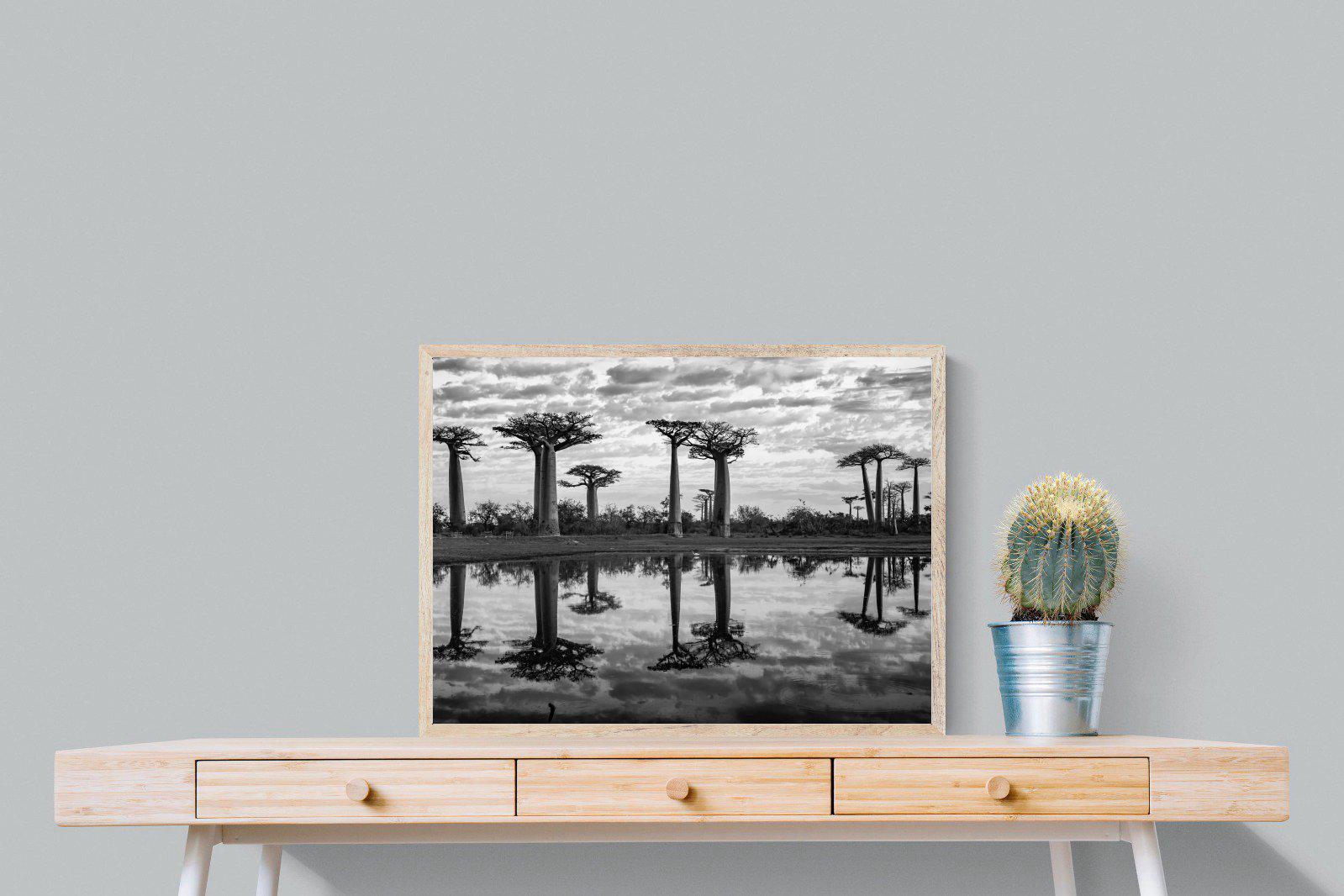 Baobab Trees-Wall_Art-80 x 60cm-Mounted Canvas-Wood-Pixalot