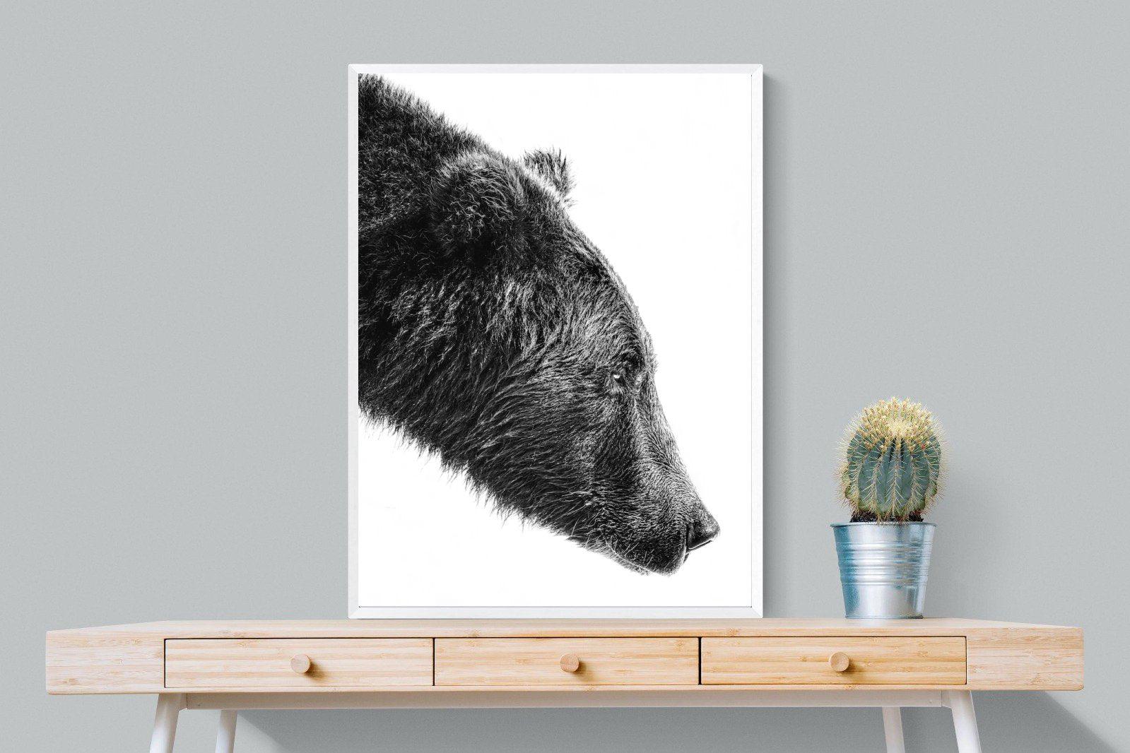 Bear-Wall_Art-75 x 100cm-Mounted Canvas-White-Pixalot