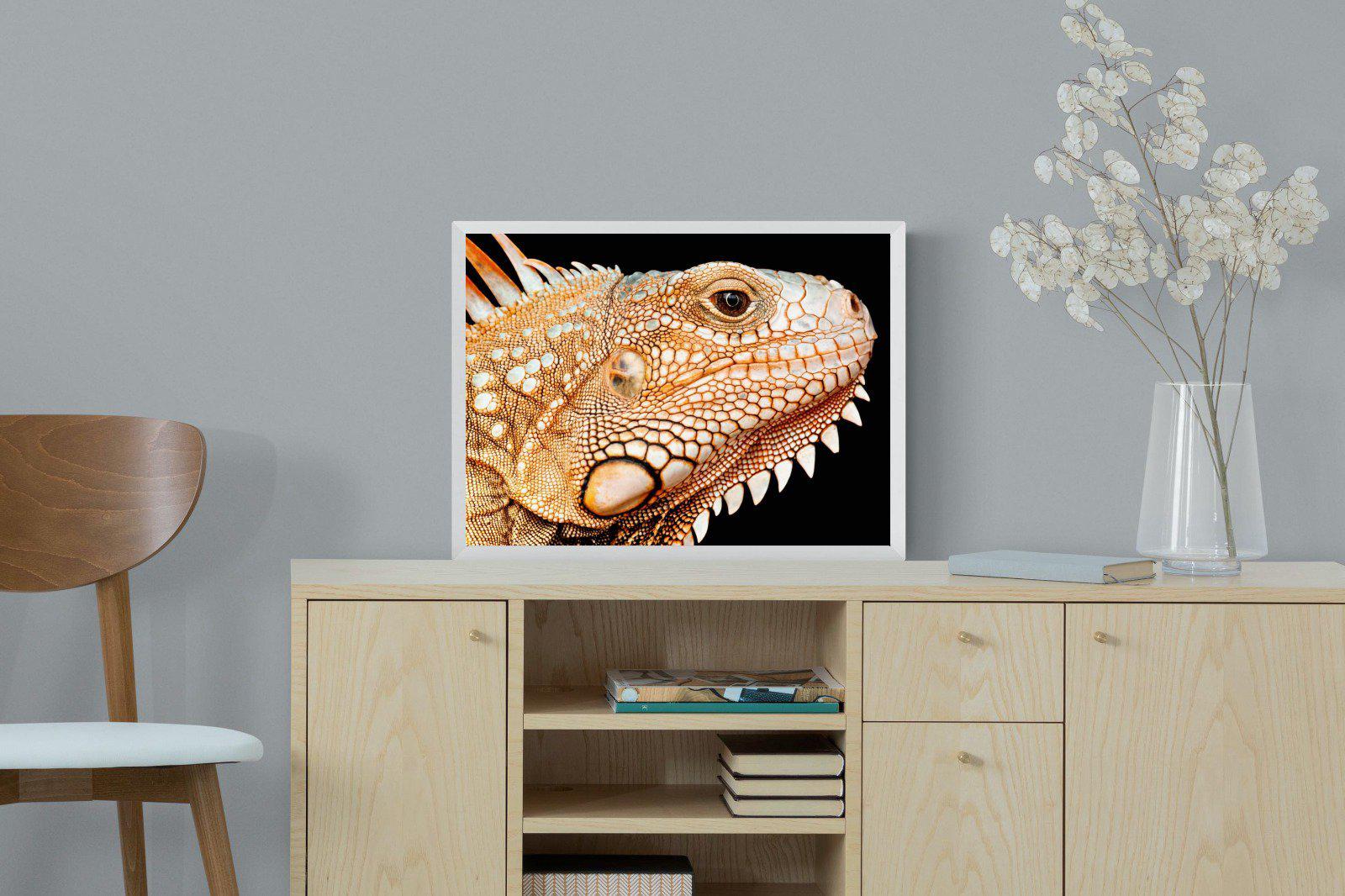 Bearded Dragon-Wall_Art-60 x 45cm-Mounted Canvas-White-Pixalot