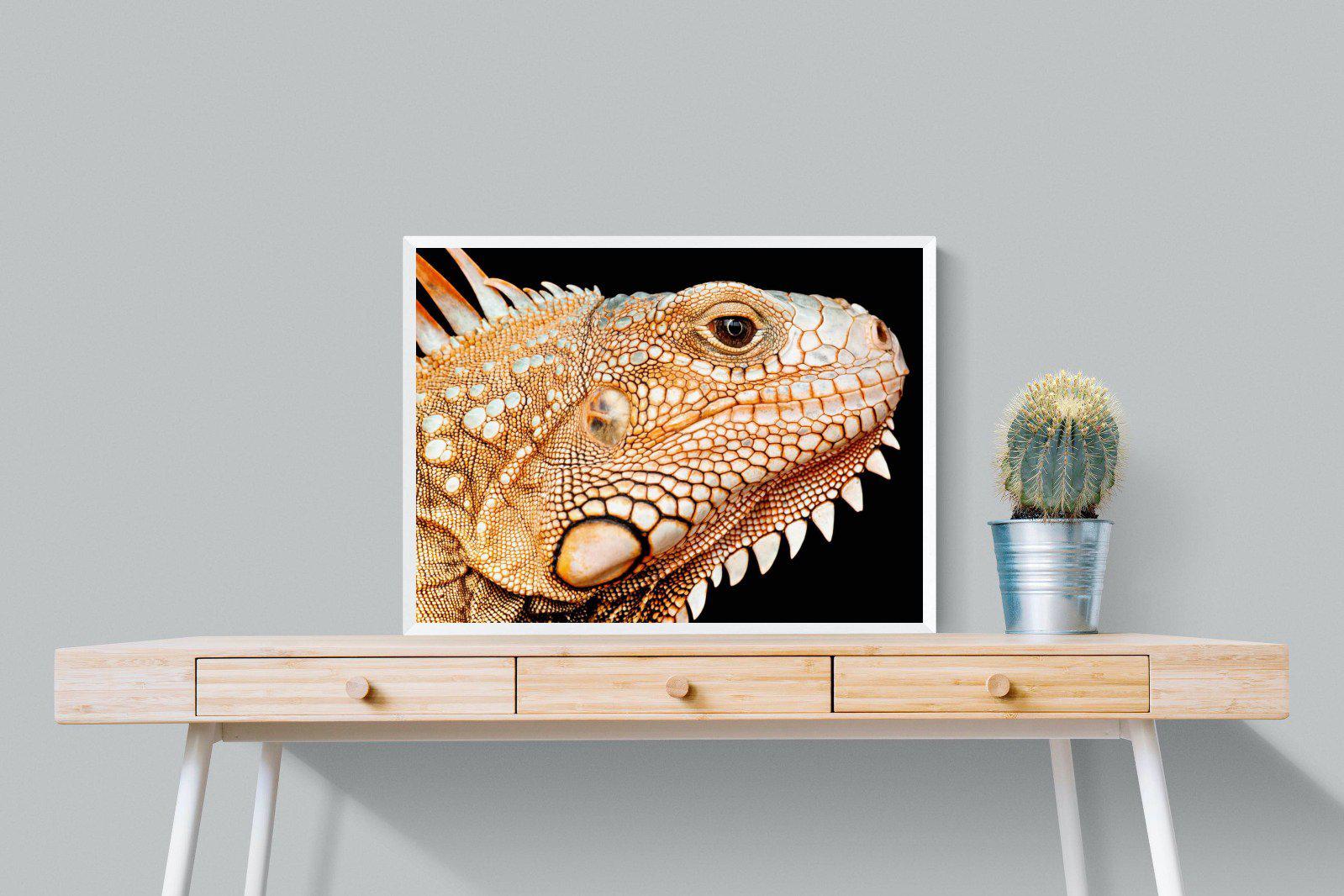 Bearded Dragon-Wall_Art-80 x 60cm-Mounted Canvas-White-Pixalot