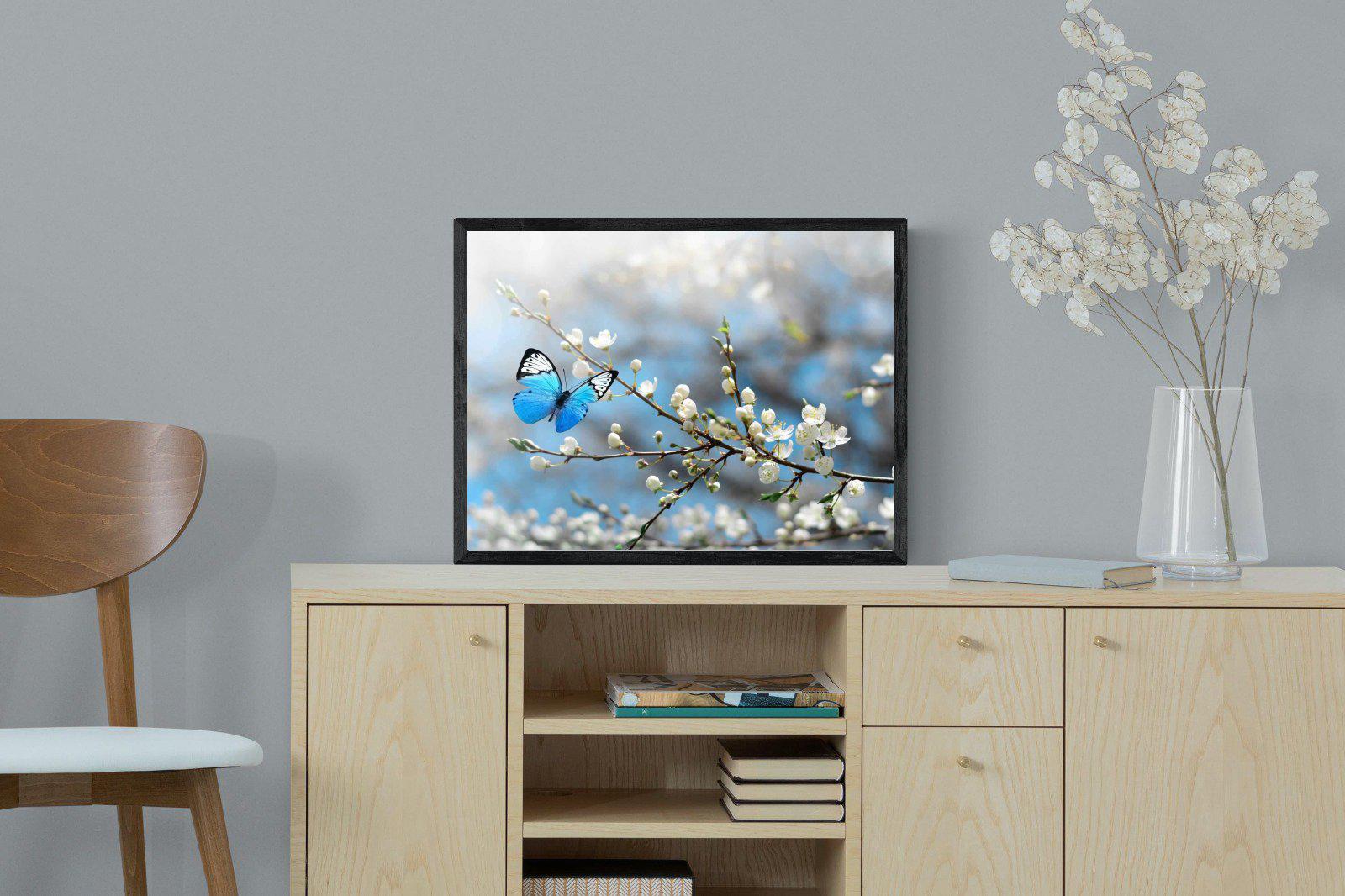 Blue Flutter-Wall_Art-60 x 45cm-Mounted Canvas-Black-Pixalot