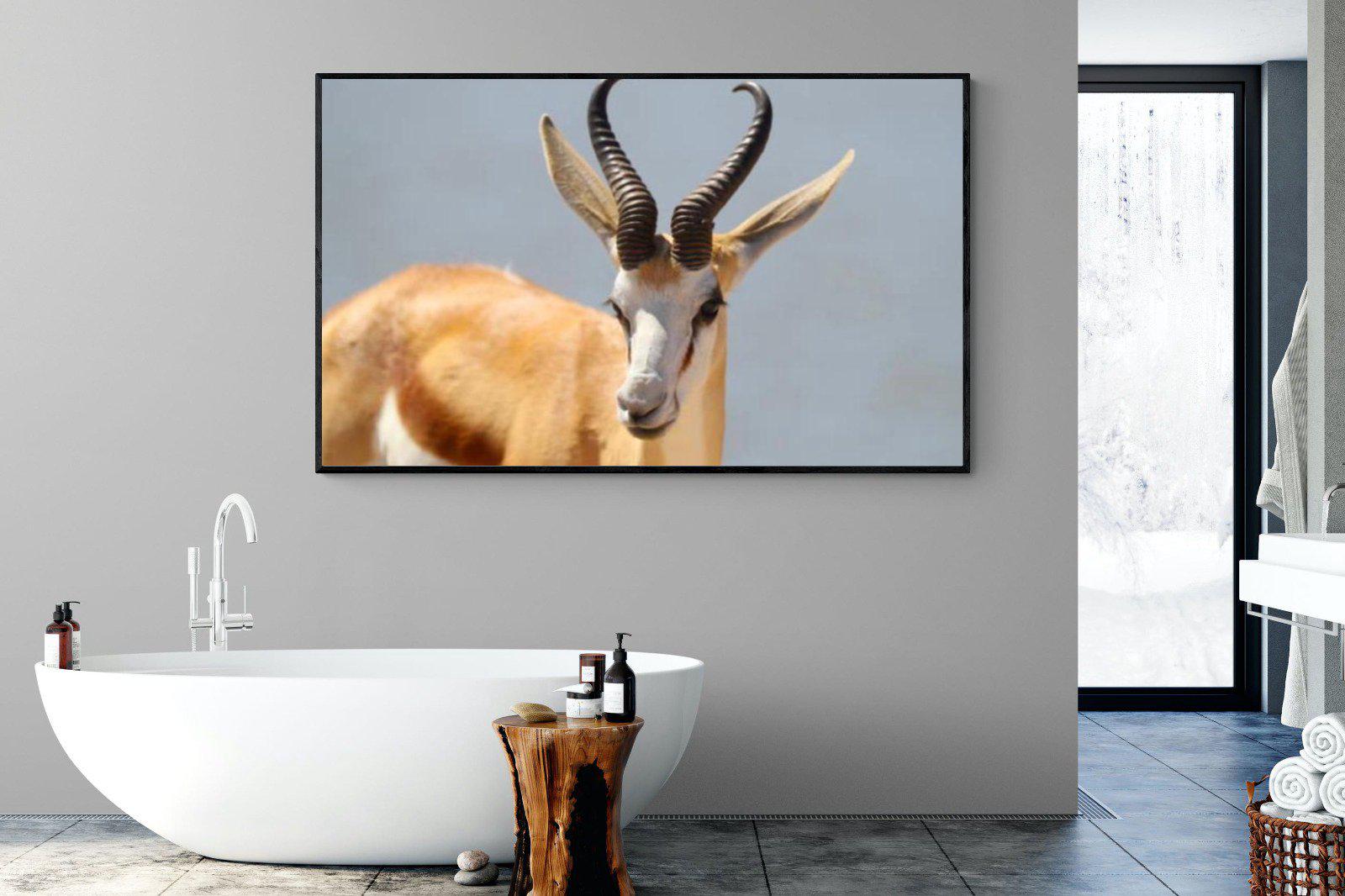 Bok-Wall_Art-180 x 110cm-Mounted Canvas-Black-Pixalot