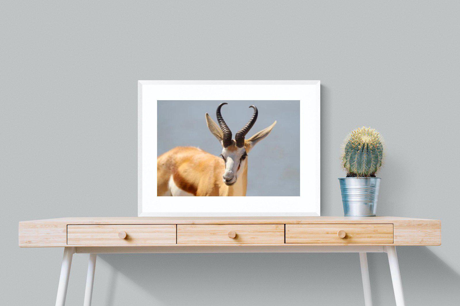 Bok-Wall_Art-80 x 60cm-Framed Print-White-Pixalot