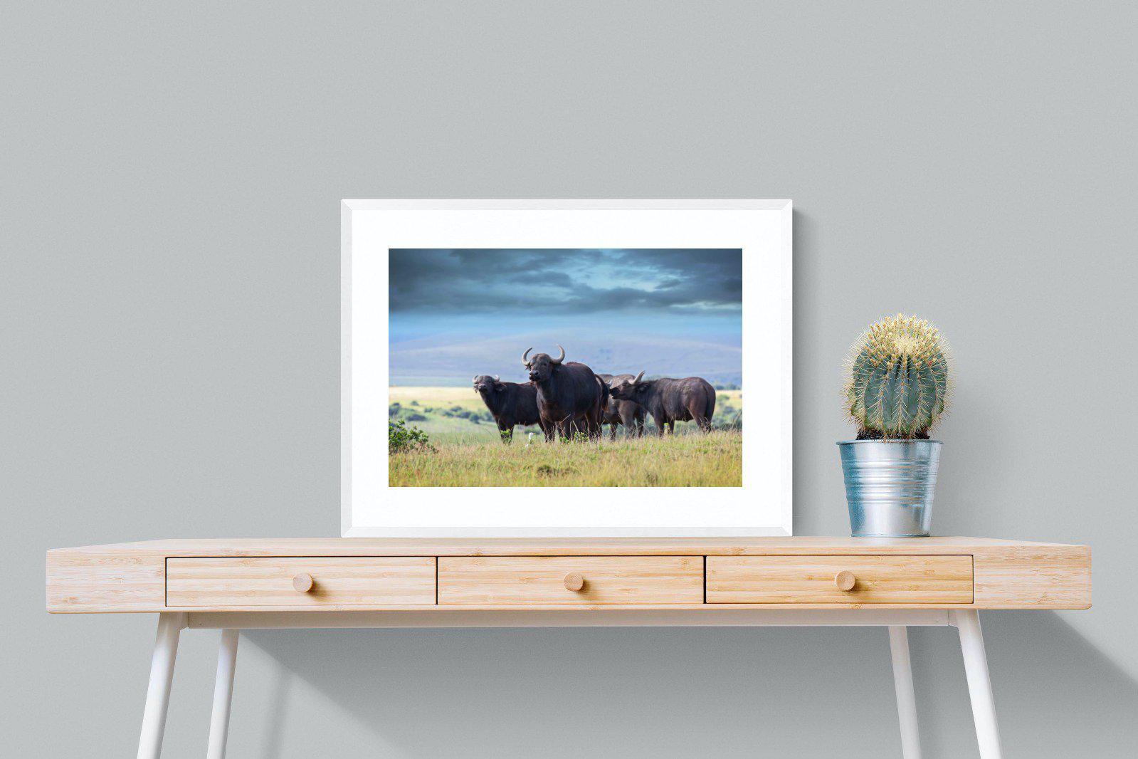 Buffalo-Wall_Art-80 x 60cm-Framed Print-White-Pixalot