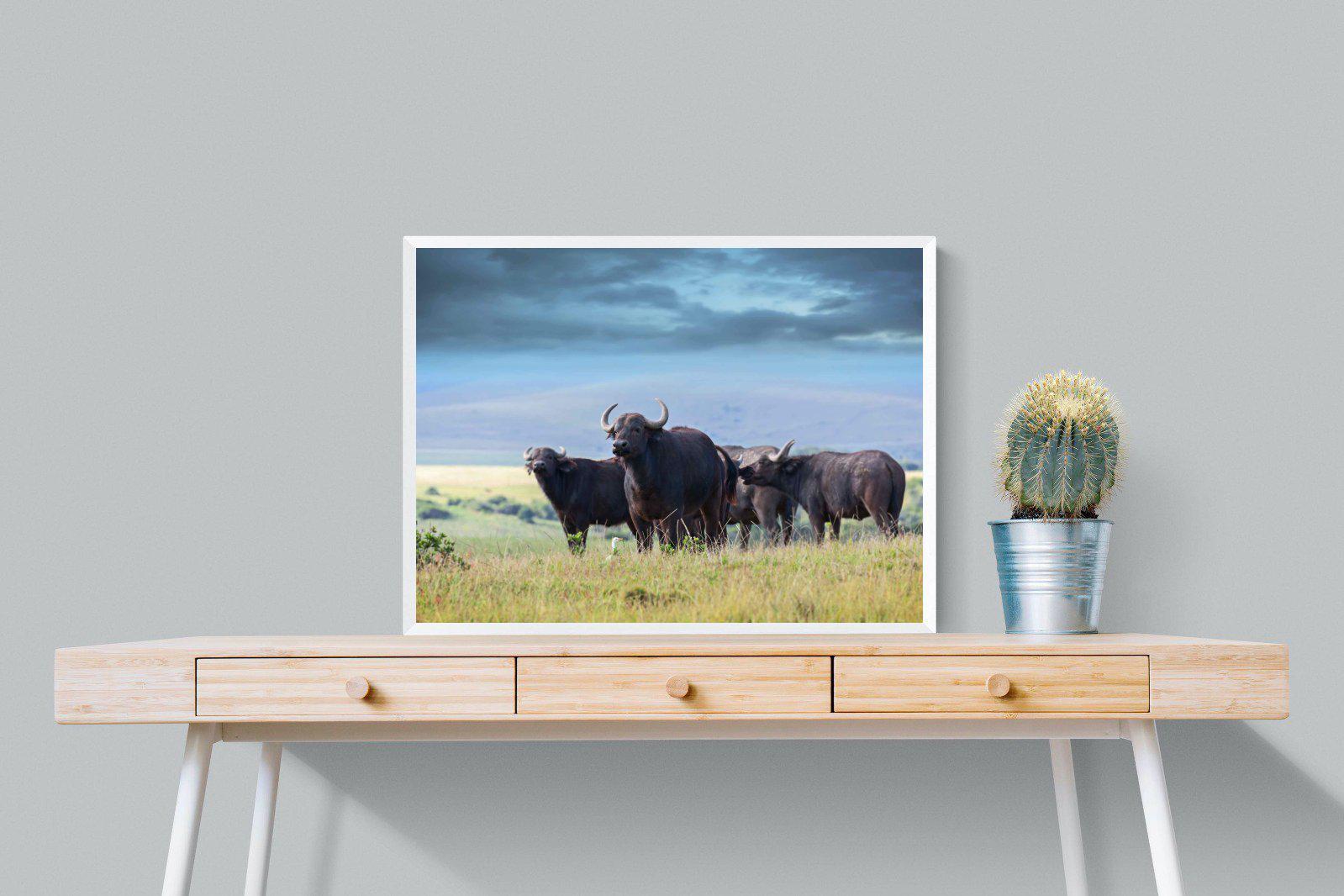 Buffalo-Wall_Art-80 x 60cm-Mounted Canvas-White-Pixalot