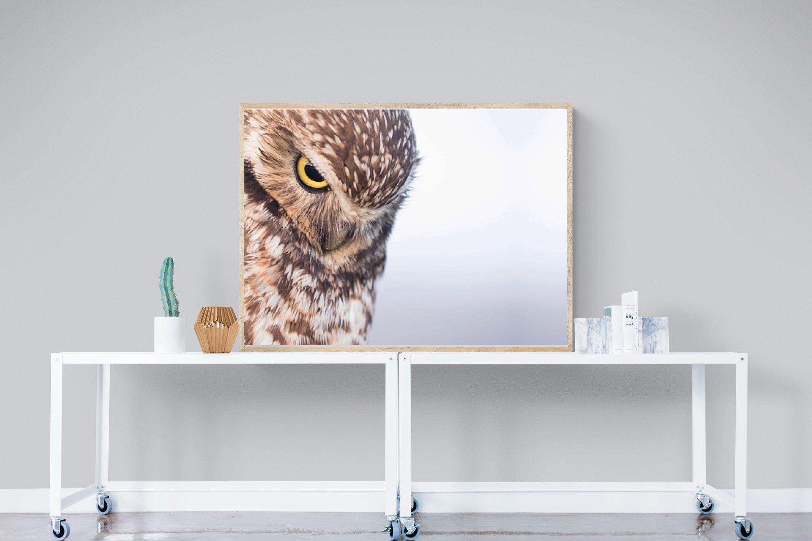 Burrowing Owl-Wall_Art-120 x 90cm-Mounted Canvas-Wood-Pixalot