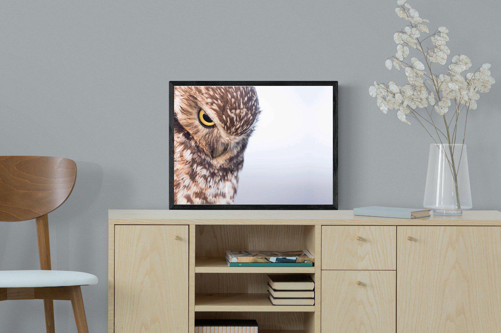 Burrowing Owl-Wall_Art-60 x 45cm-Mounted Canvas-Black-Pixalot