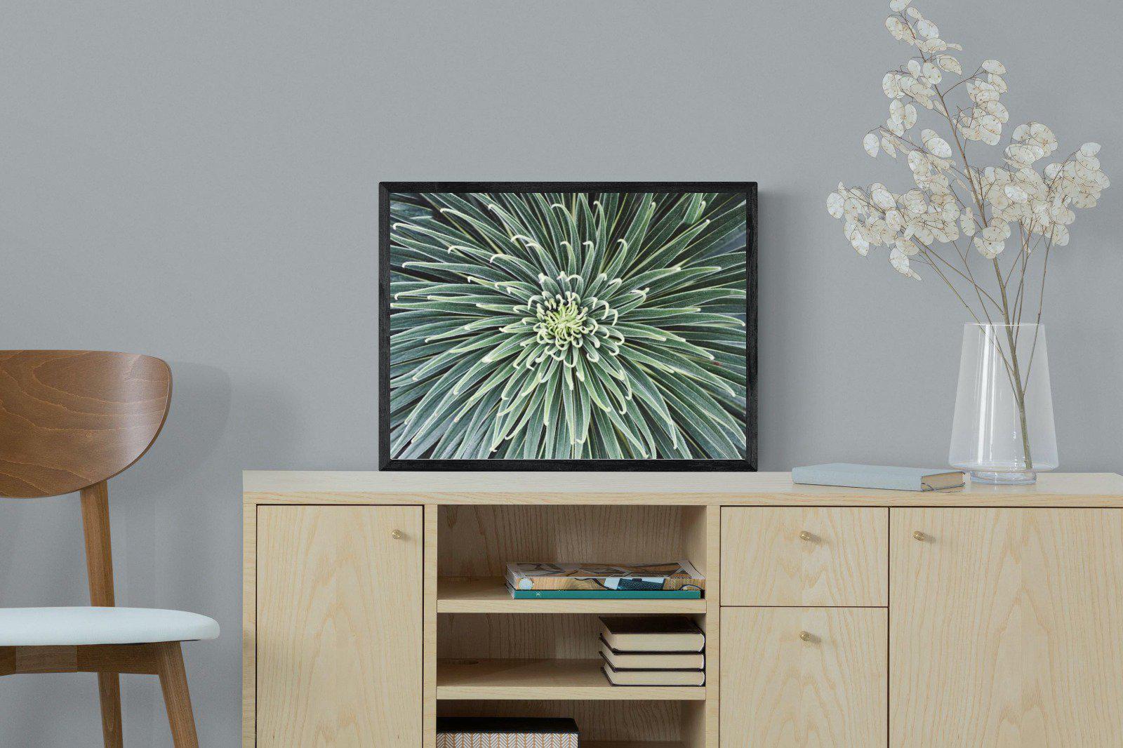 Cactus-Wall_Art-60 x 45cm-Mounted Canvas-Black-Pixalot