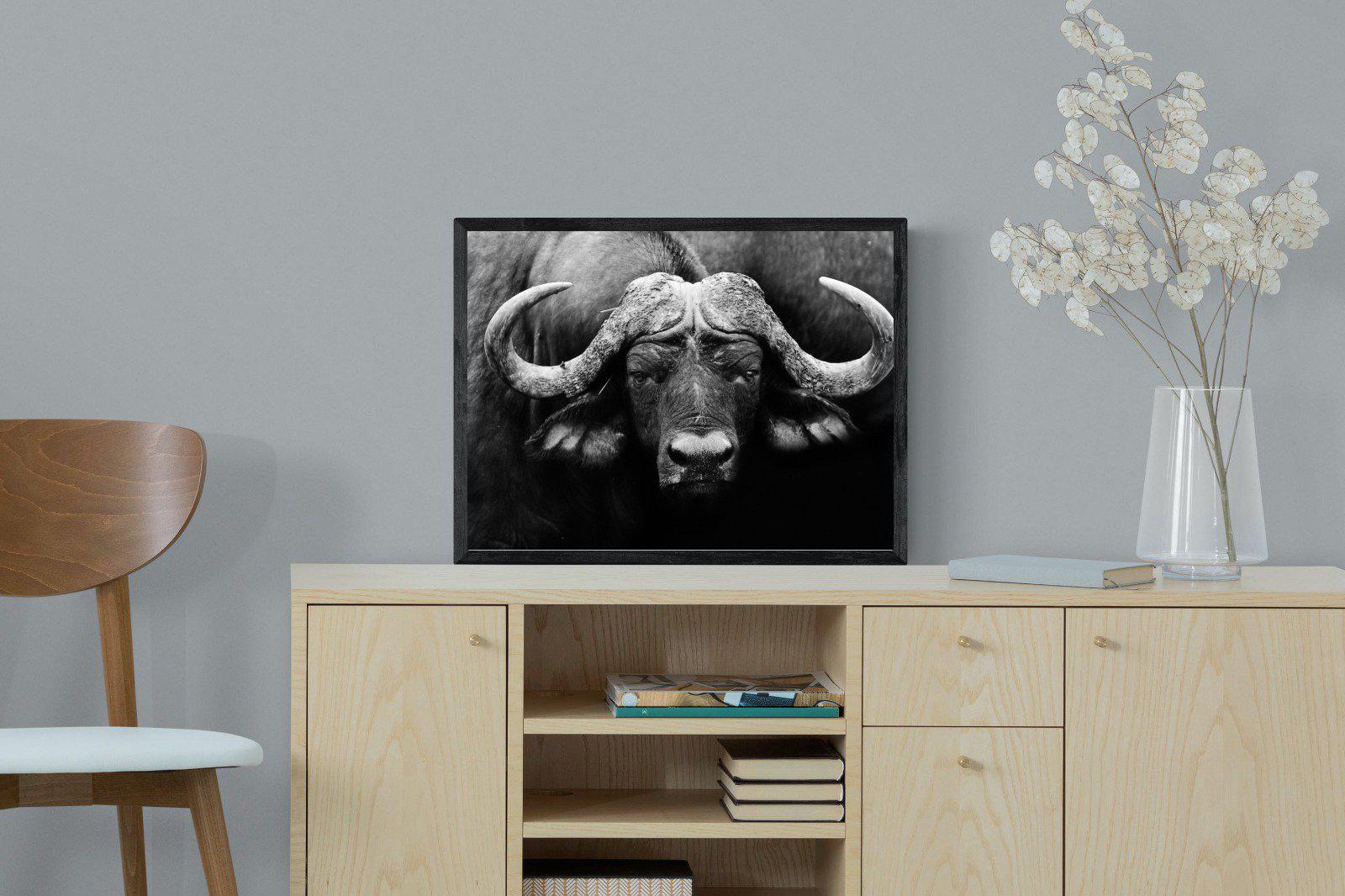 Cape Buffalo-Wall_Art-60 x 45cm-Mounted Canvas-Black-Pixalot