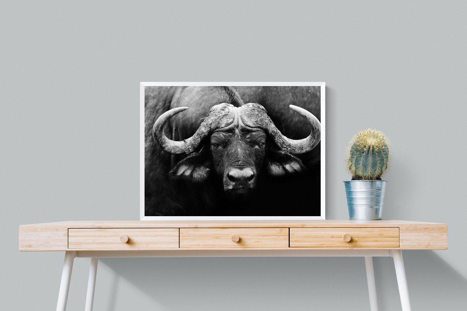 Cape Buffalo-Wall_Art-80 x 60cm-Mounted Canvas-White-Pixalot