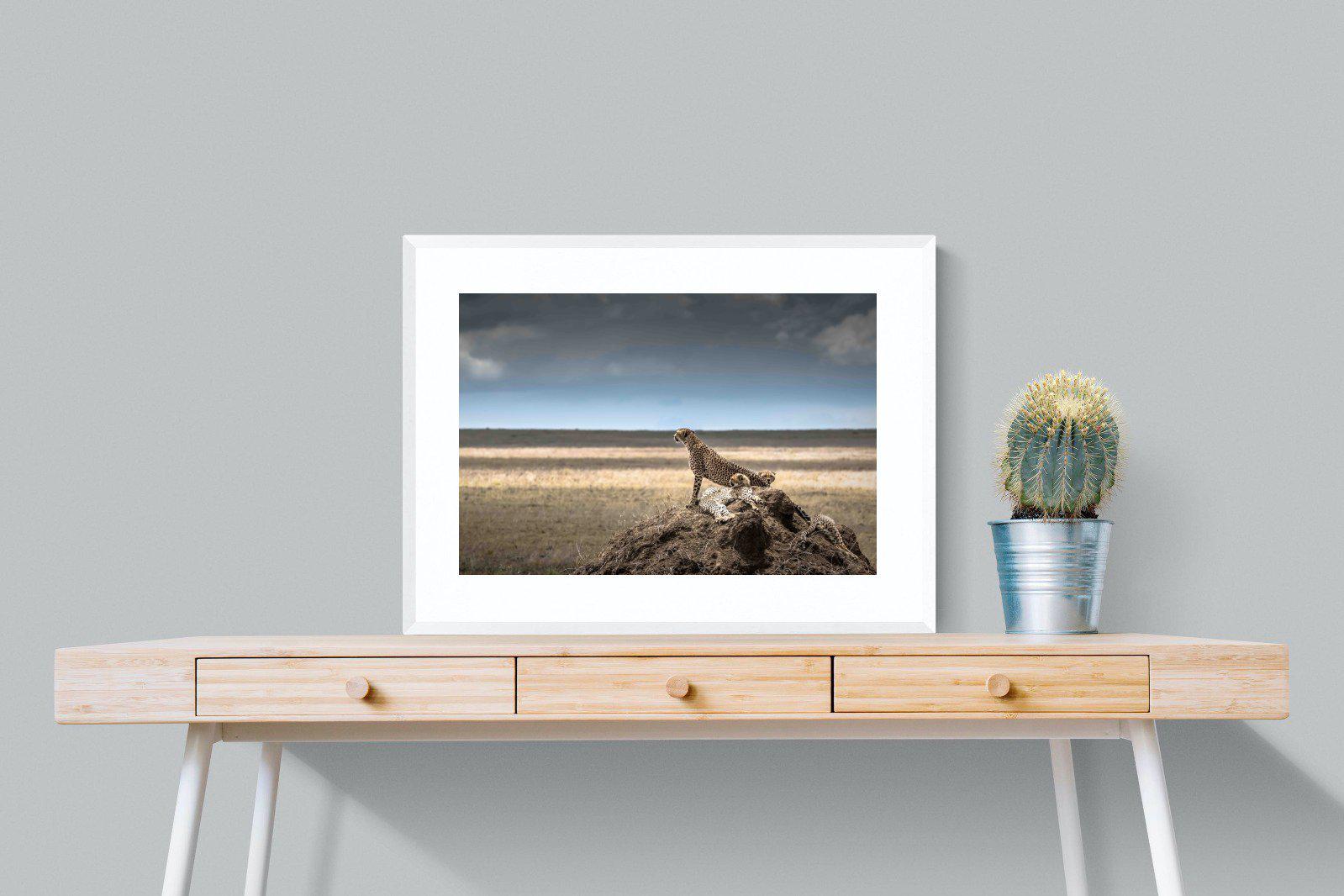 Cheetah Family-Wall_Art-80 x 60cm-Framed Print-White-Pixalot