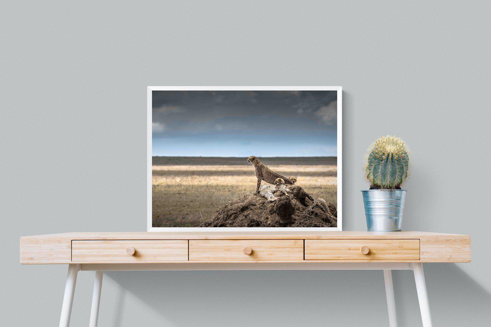 Cheetah Family-Wall_Art-80 x 60cm-Mounted Canvas-White-Pixalot