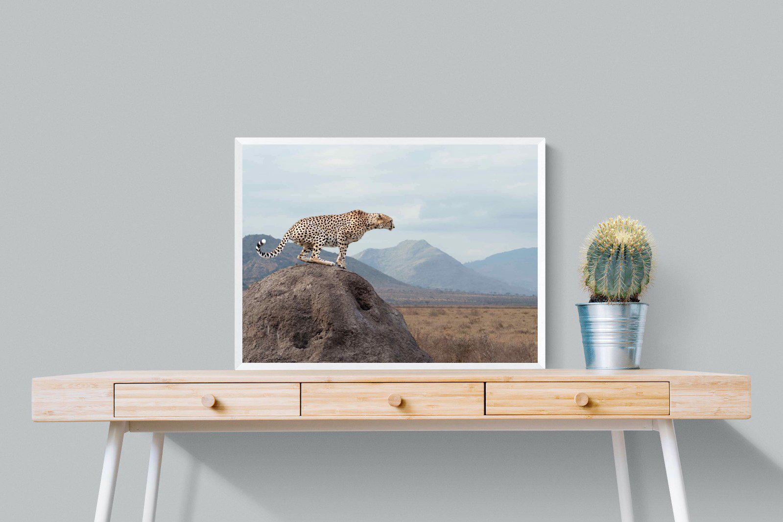 Cheetah-Wall_Art-80 x 60cm-Mounted Canvas-White-Pixalot