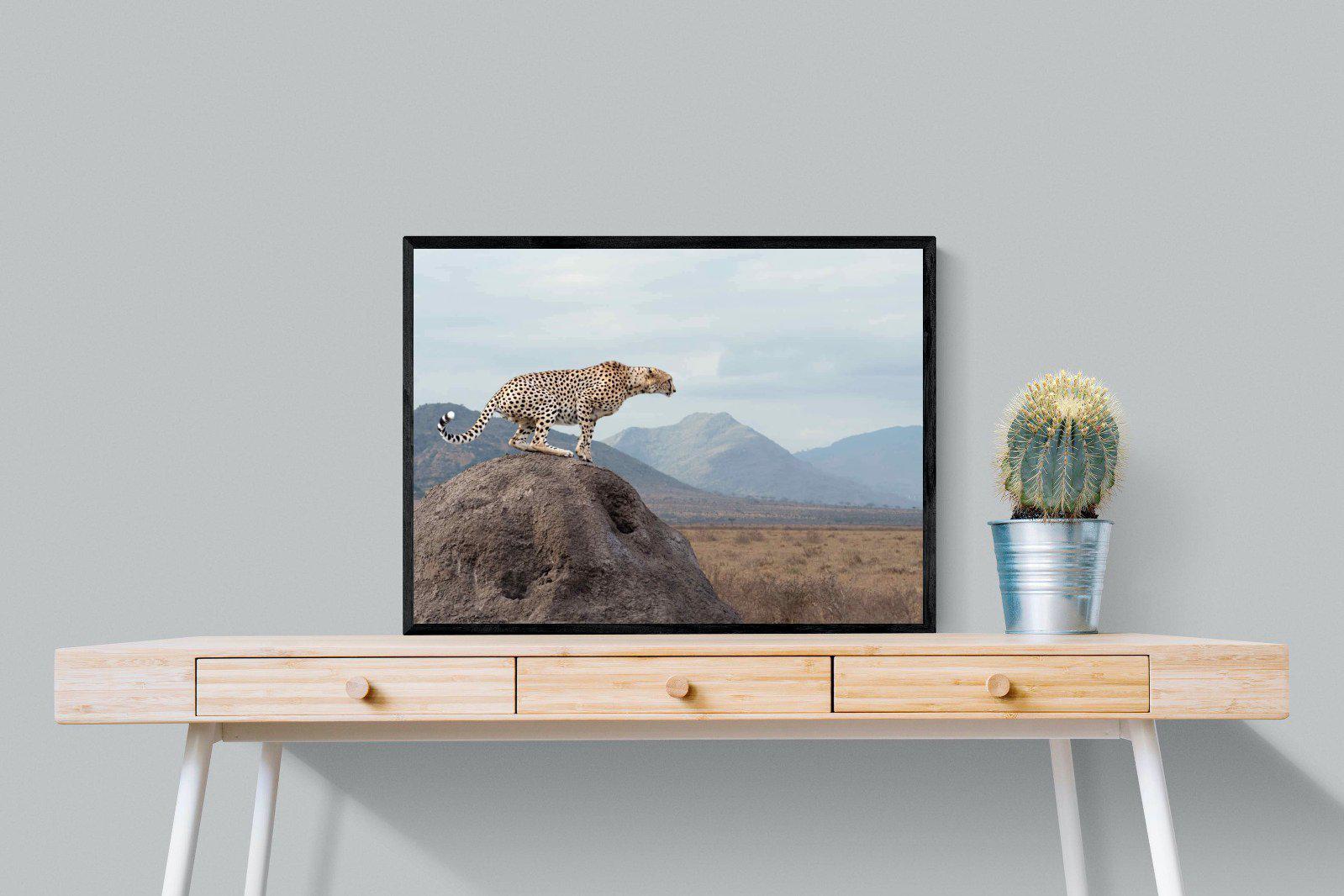 Cheetah-Wall_Art-80 x 60cm-Mounted Canvas-Black-Pixalot