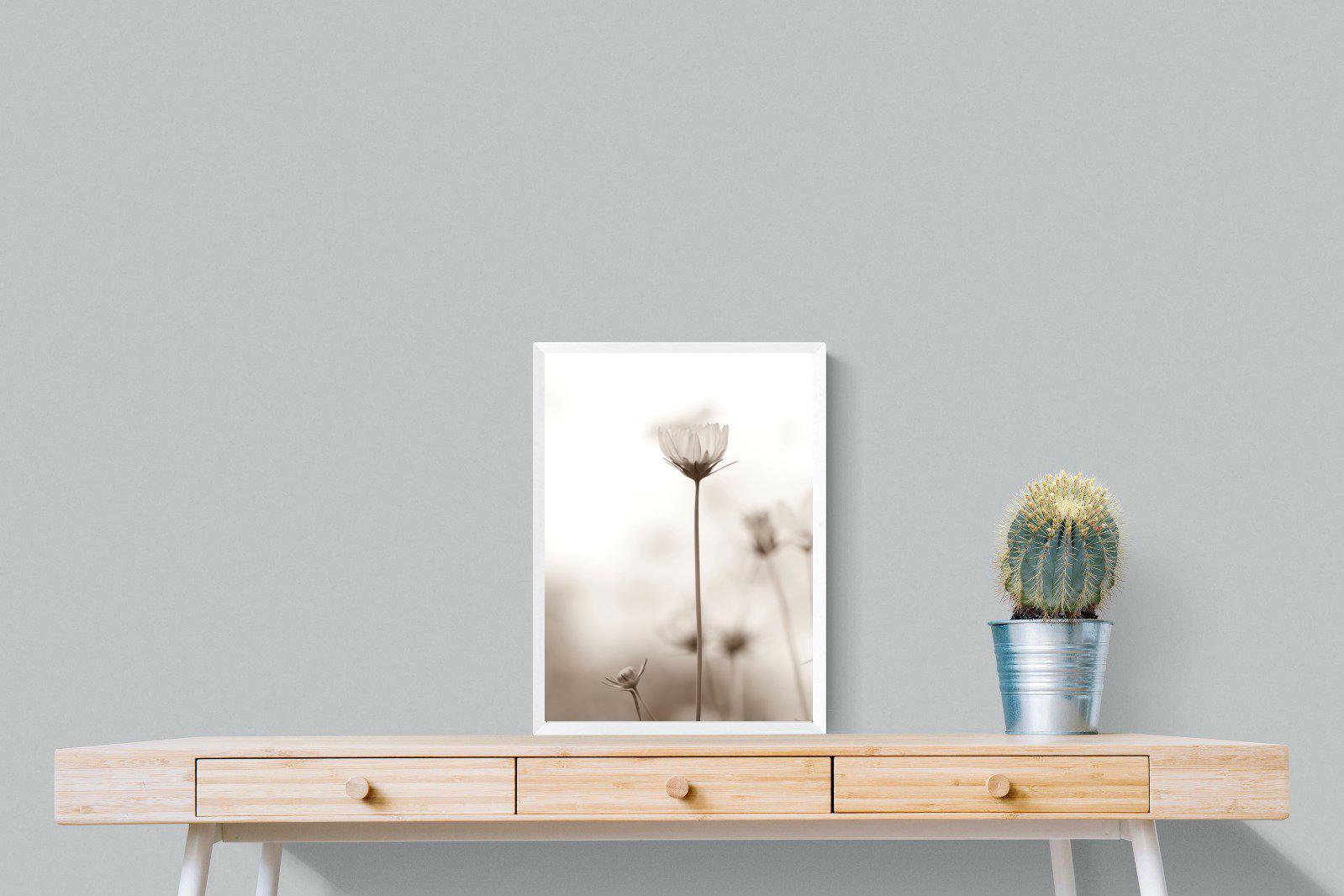 Cosmos-Wall_Art-45 x 60cm-Mounted Canvas-White-Pixalot