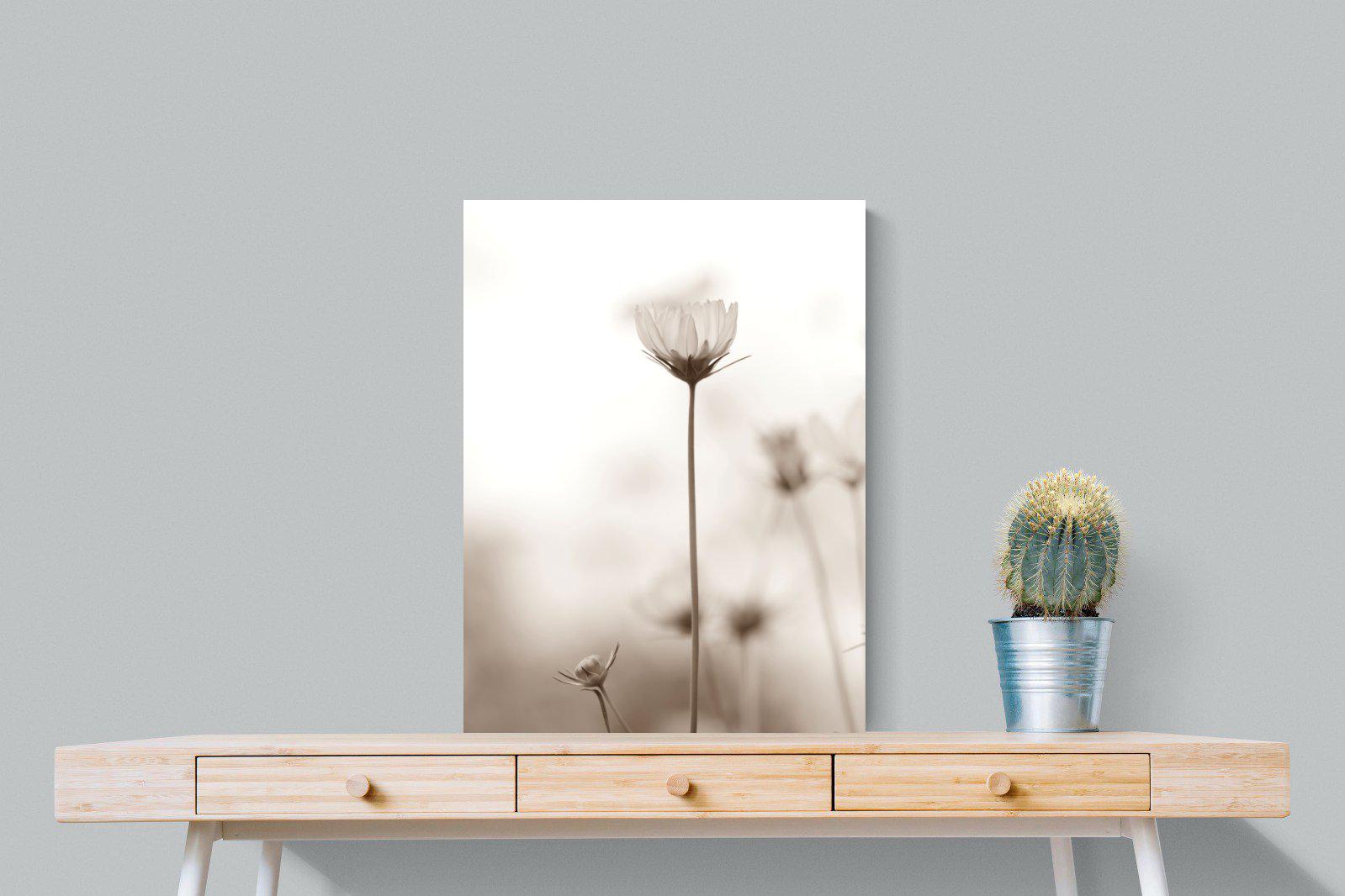 Cosmos-Wall_Art-60 x 80cm-Mounted Canvas-No Frame-Pixalot