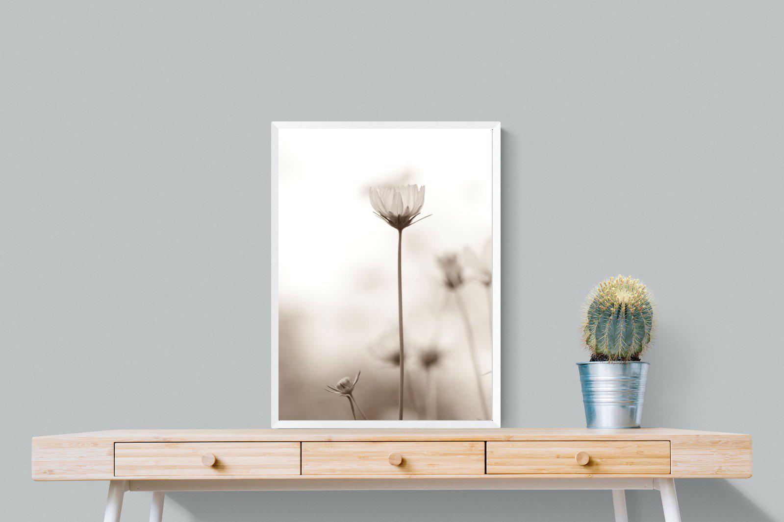 Cosmos-Wall_Art-60 x 80cm-Mounted Canvas-White-Pixalot