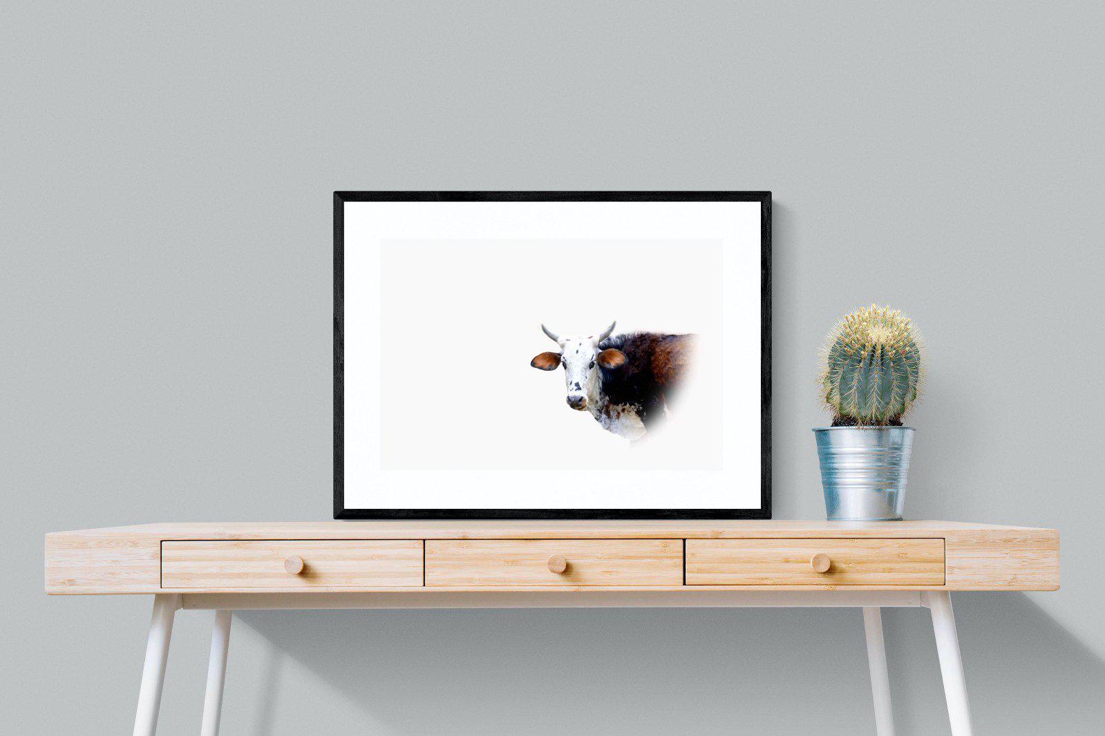 Curious Nguni-Wall_Art-80 x 60cm-Framed Print-Black-Pixalot