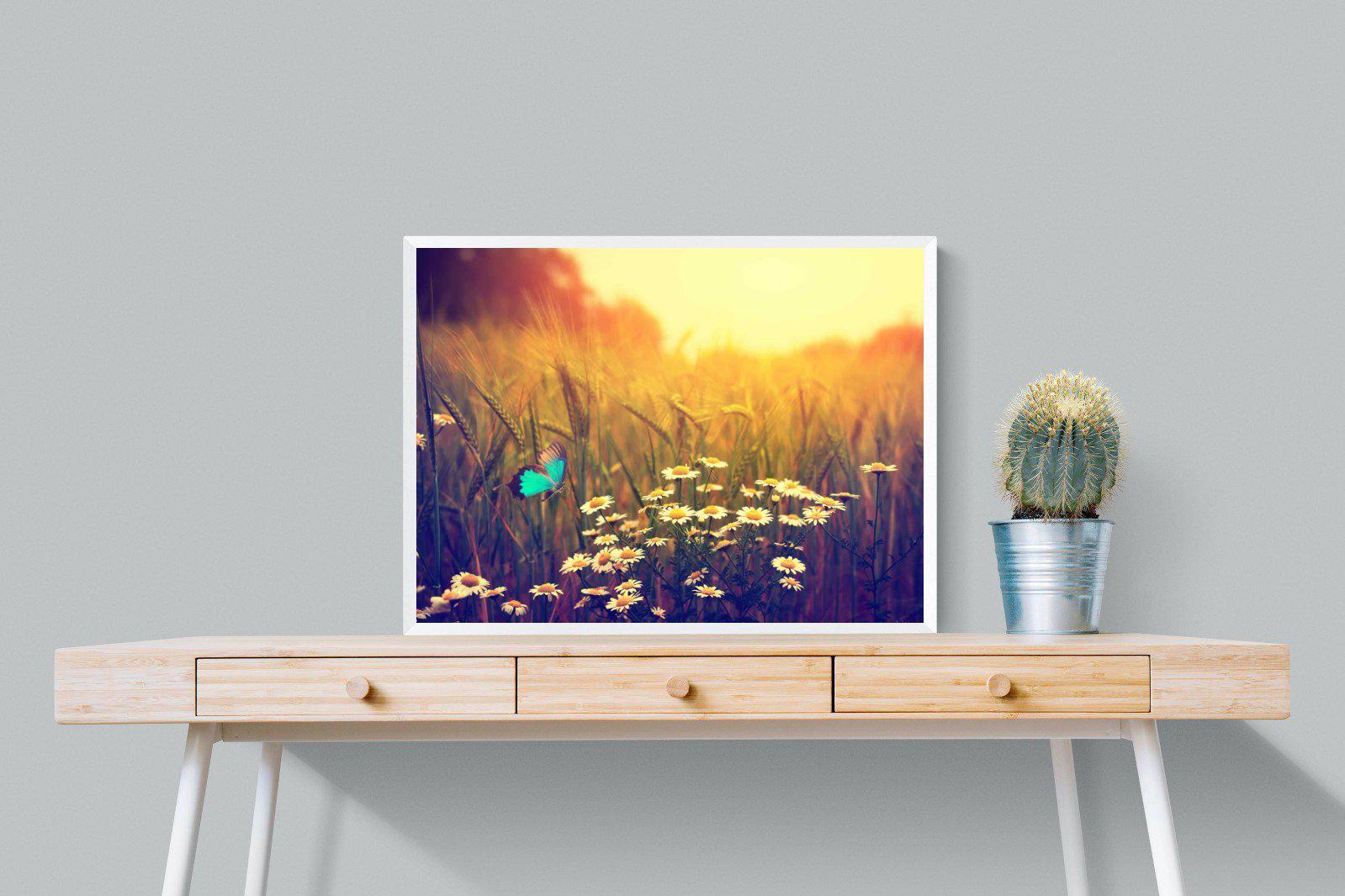 Daisy Flutter-Wall_Art-80 x 60cm-Mounted Canvas-White-Pixalot