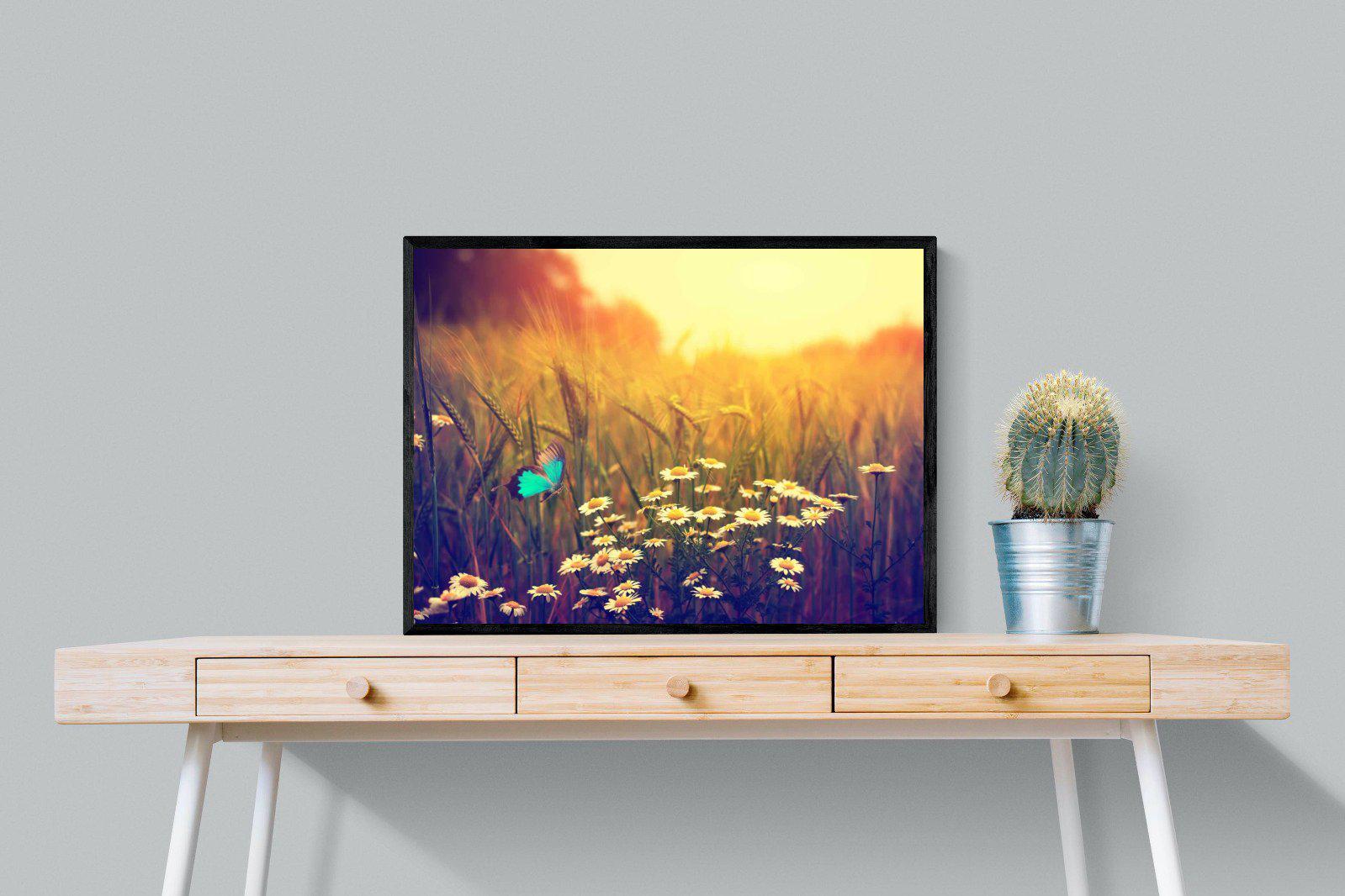 Daisy Flutter-Wall_Art-80 x 60cm-Mounted Canvas-Black-Pixalot