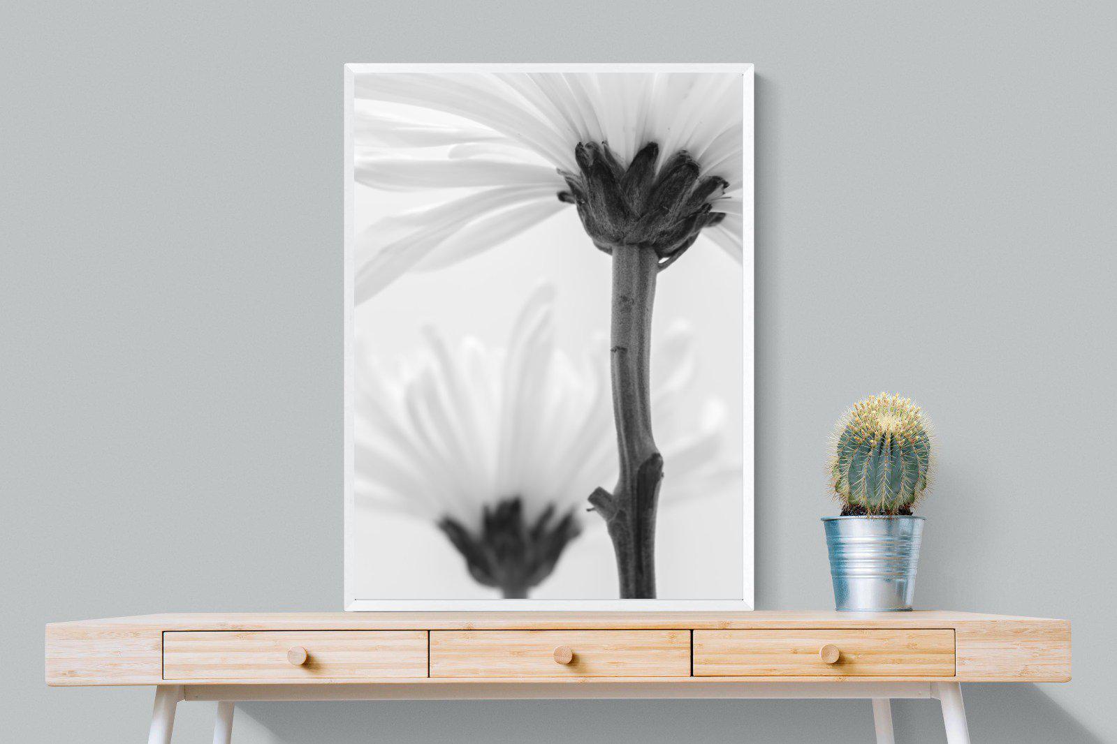 Daisy Stem-Wall_Art-75 x 100cm-Mounted Canvas-White-Pixalot