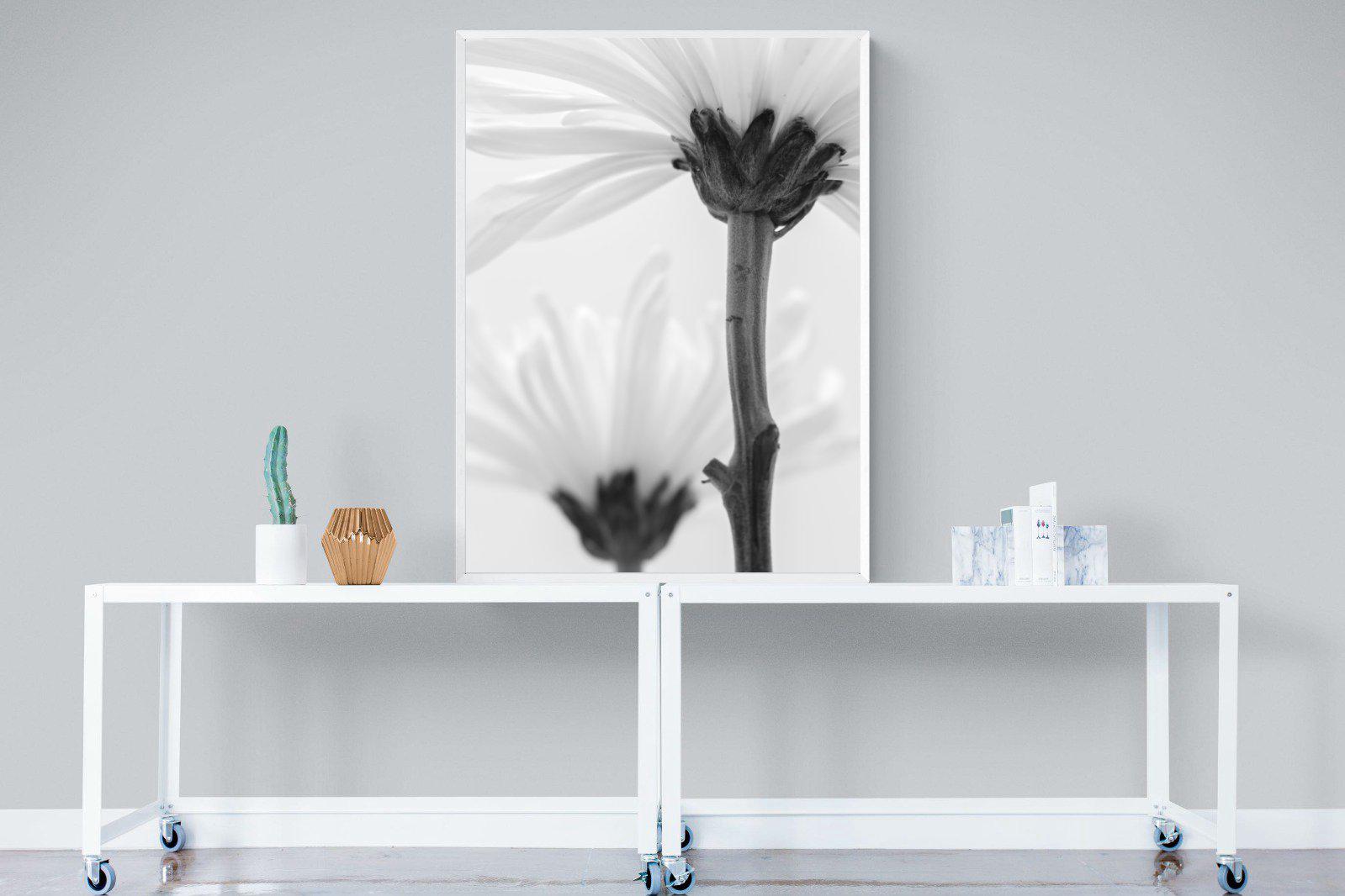 Daisy Stem-Wall_Art-90 x 120cm-Mounted Canvas-White-Pixalot