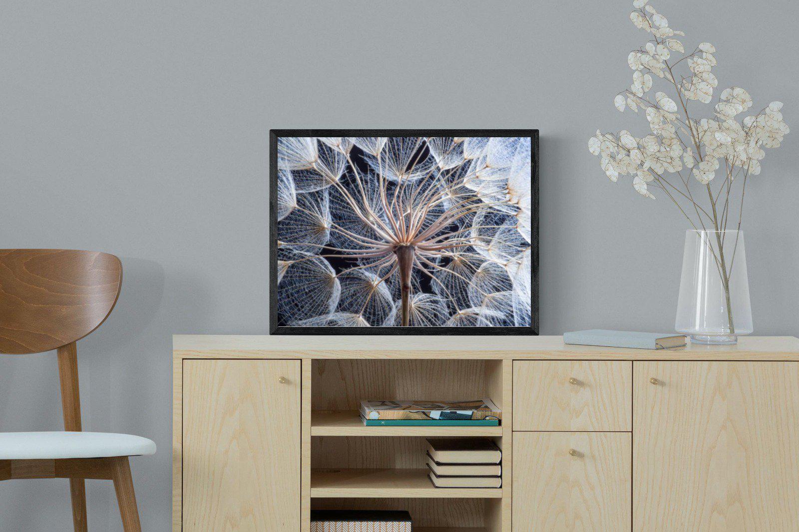 Dandelion Close Up-Wall_Art-60 x 45cm-Mounted Canvas-Black-Pixalot