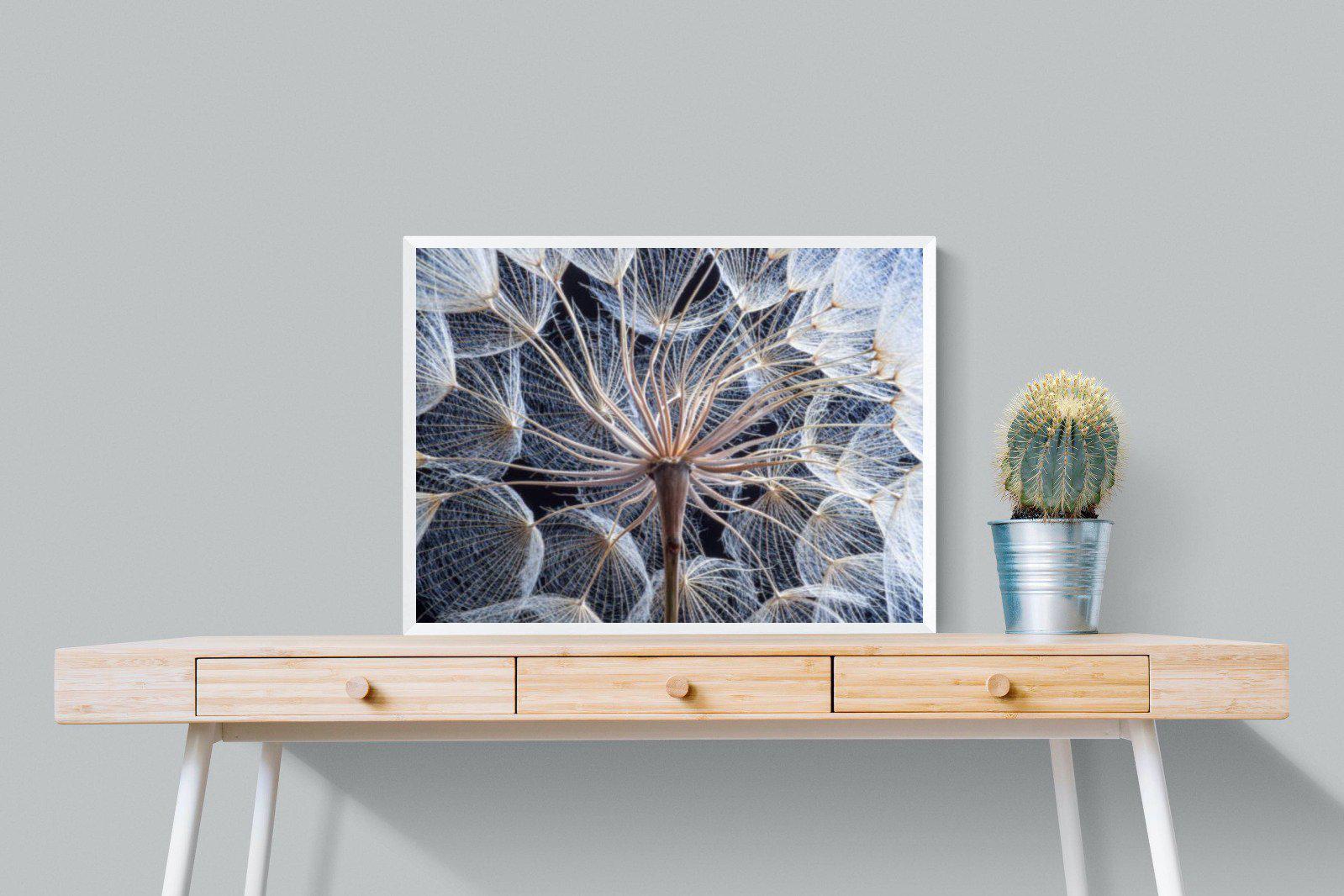 Dandelion Close Up-Wall_Art-80 x 60cm-Mounted Canvas-White-Pixalot