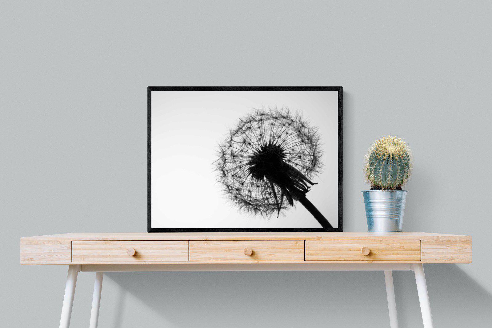 Dandelion-Wall_Art-80 x 60cm-Mounted Canvas-Black-Pixalot