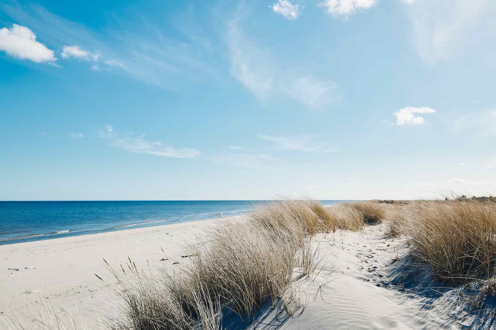 Danish Coastline-Wall_Art-Pixalot