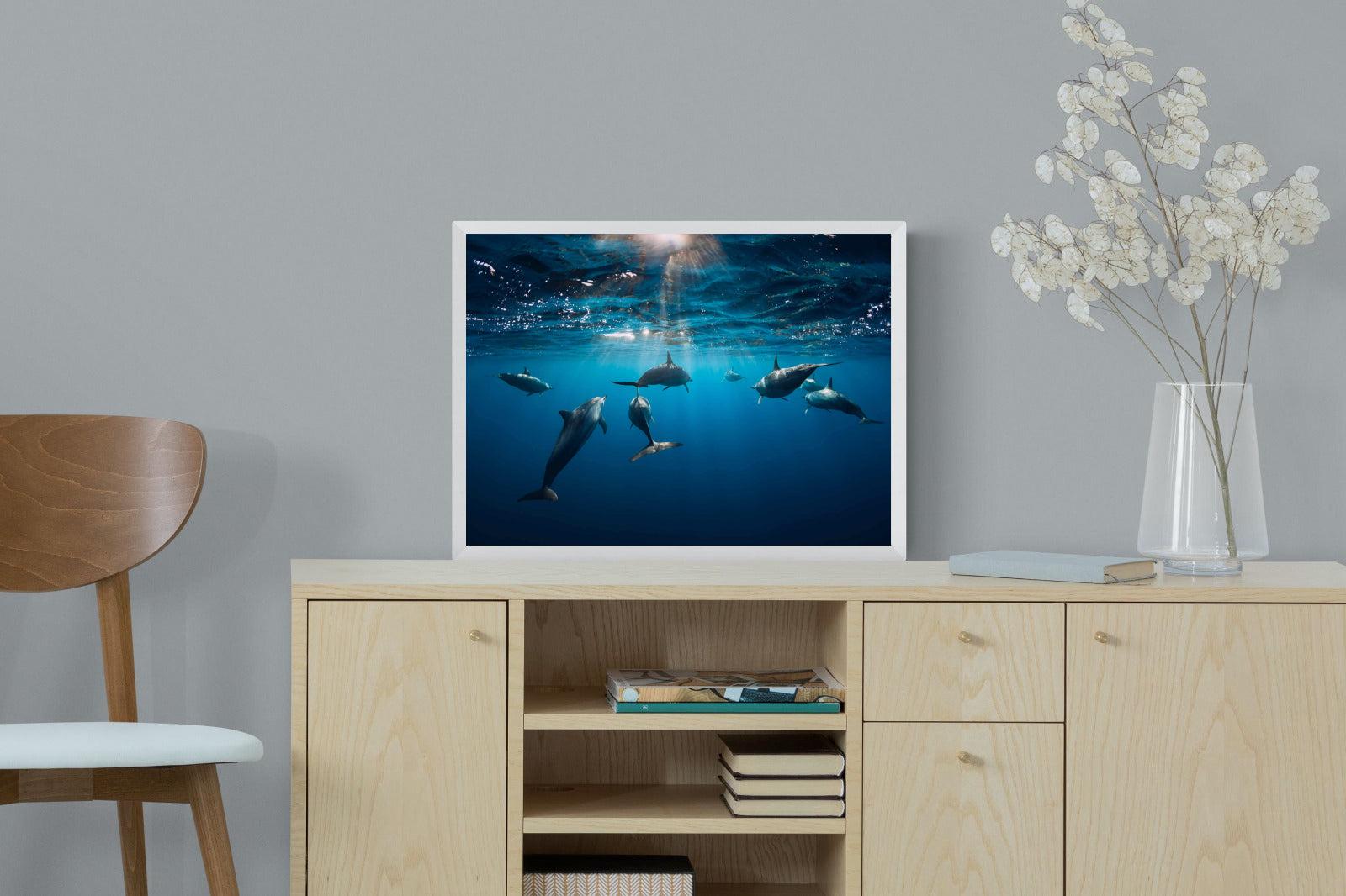 Dolphins-Wall_Art-60 x 45cm-Mounted Canvas-White-Pixalot