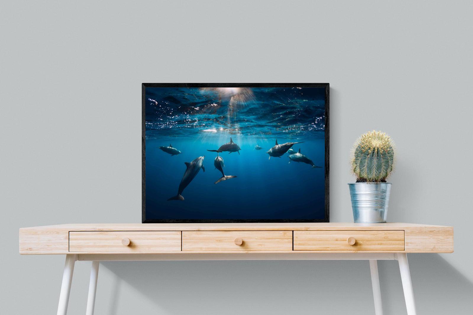 Dolphins-Wall_Art-80 x 60cm-Mounted Canvas-Black-Pixalot