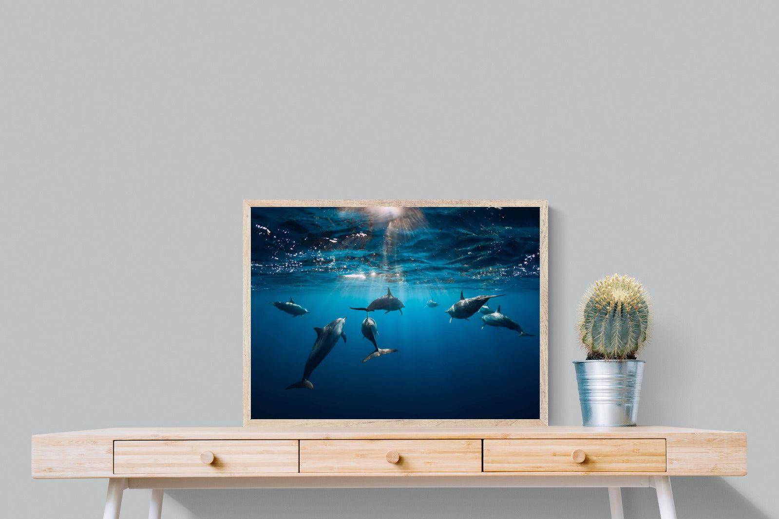 Dolphins-Wall_Art-80 x 60cm-Mounted Canvas-Wood-Pixalot