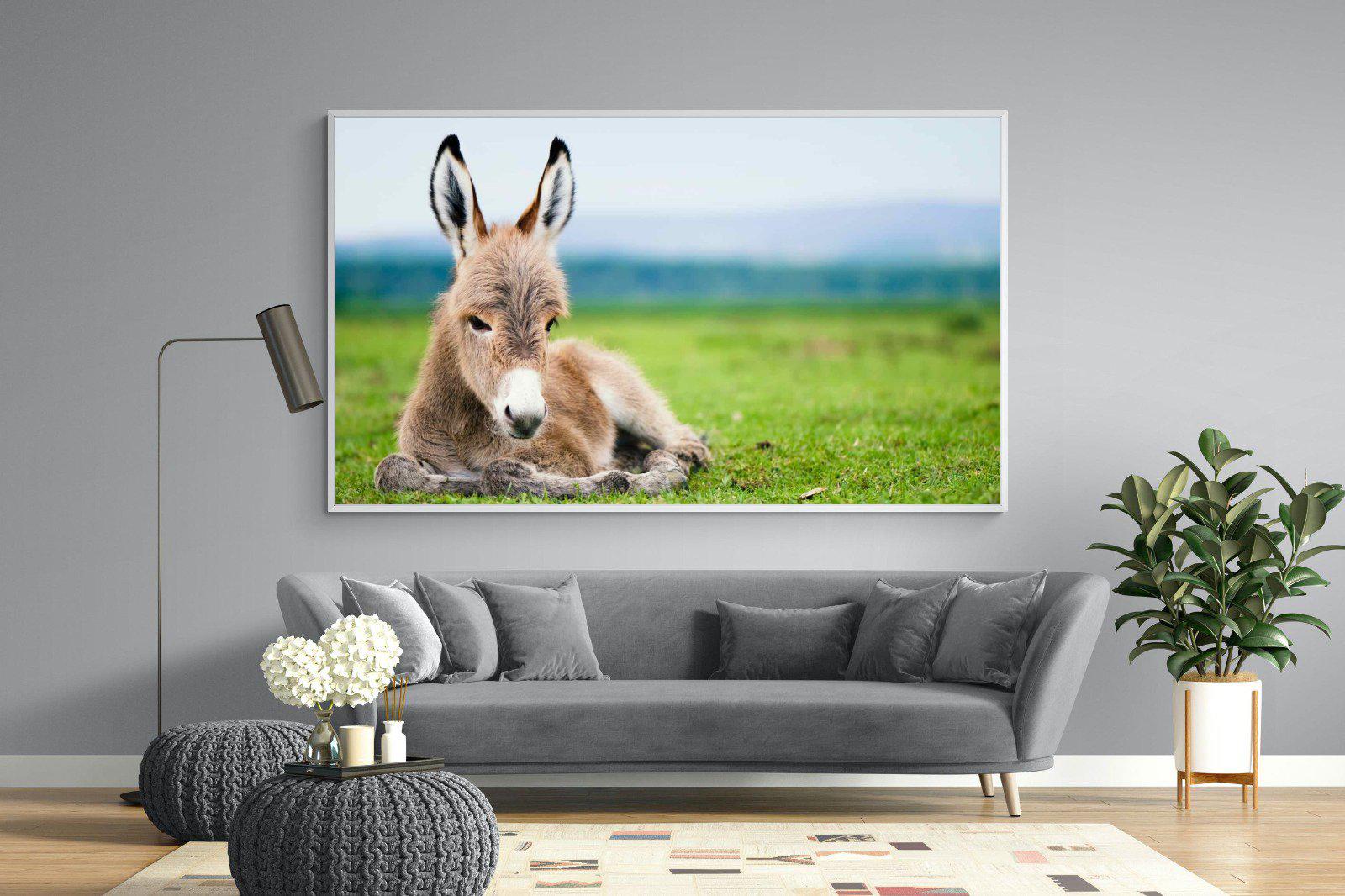 Donkey Foal-Wall_Art-220 x 130cm-Mounted Canvas-White-Pixalot