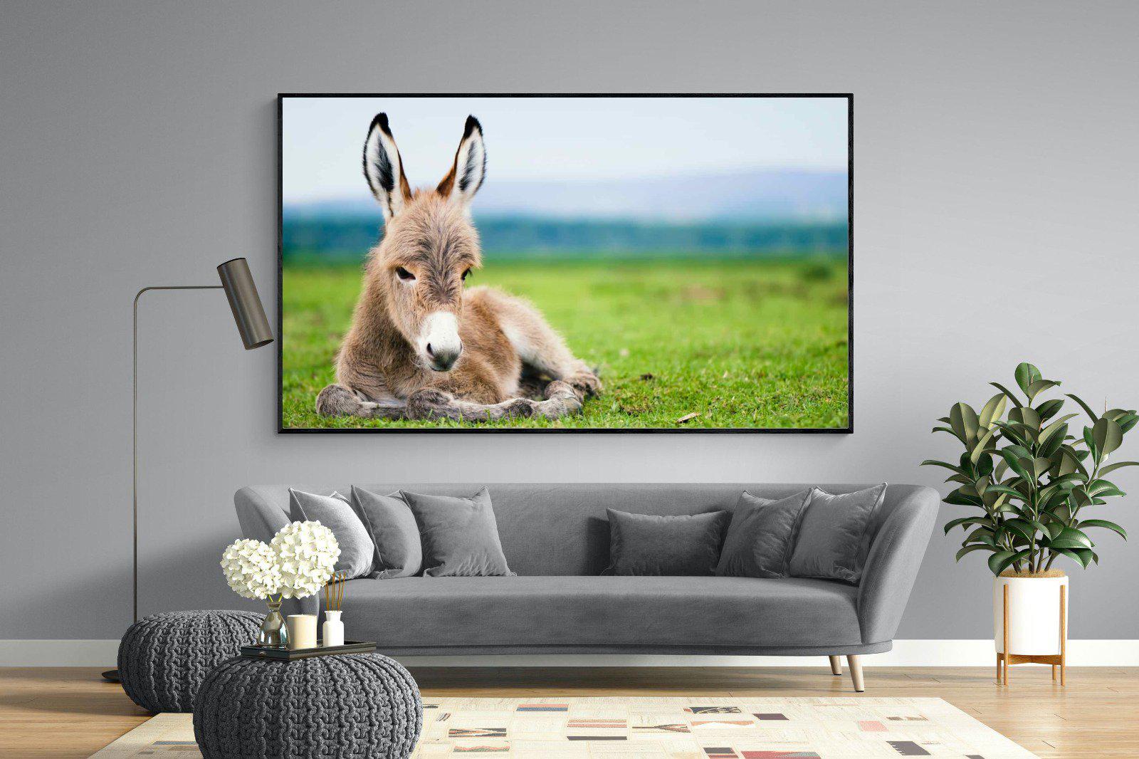 Donkey Foal-Wall_Art-220 x 130cm-Mounted Canvas-Black-Pixalot